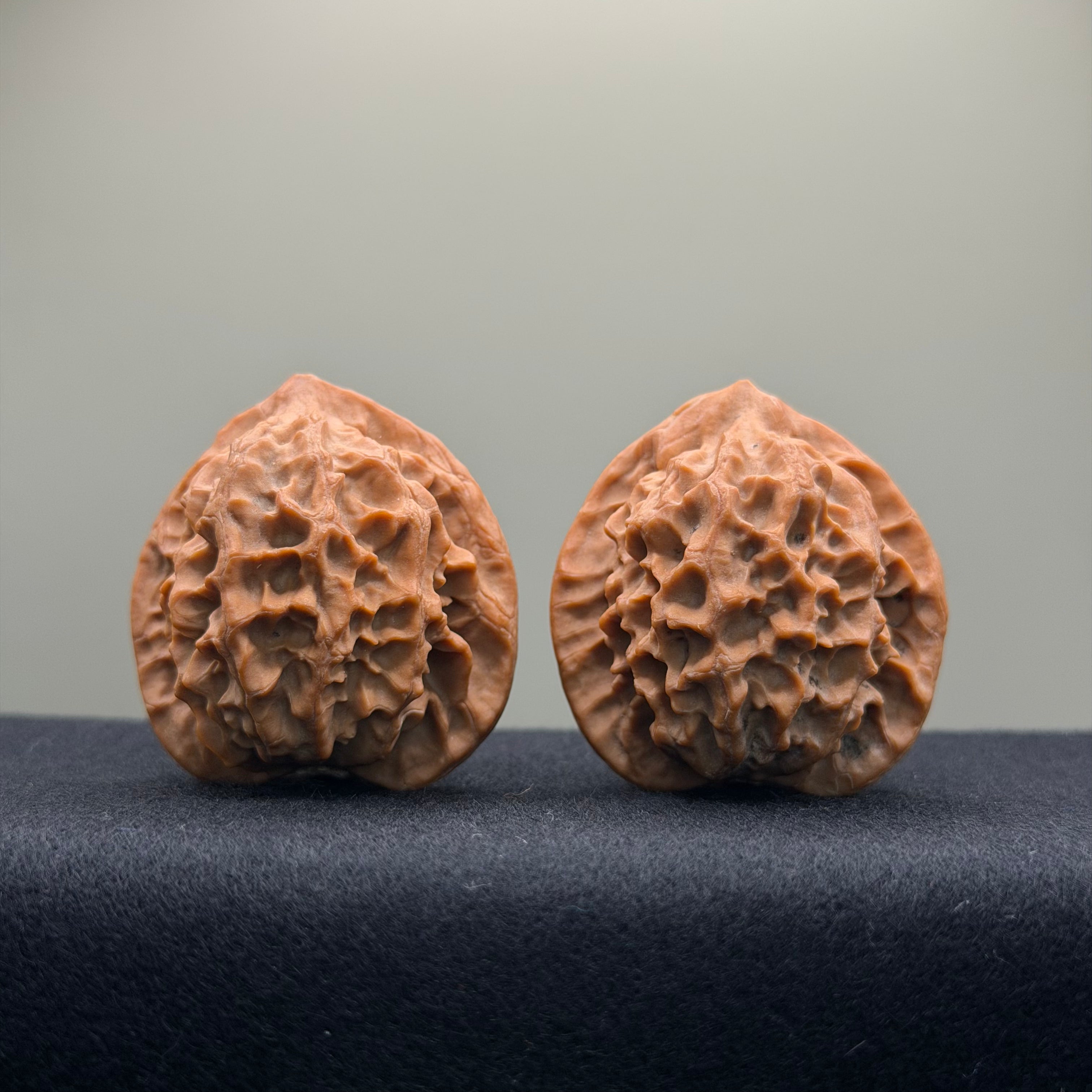 Dragon Scale Wenwan Walnut · 39mm · Natural · Collector Ritual