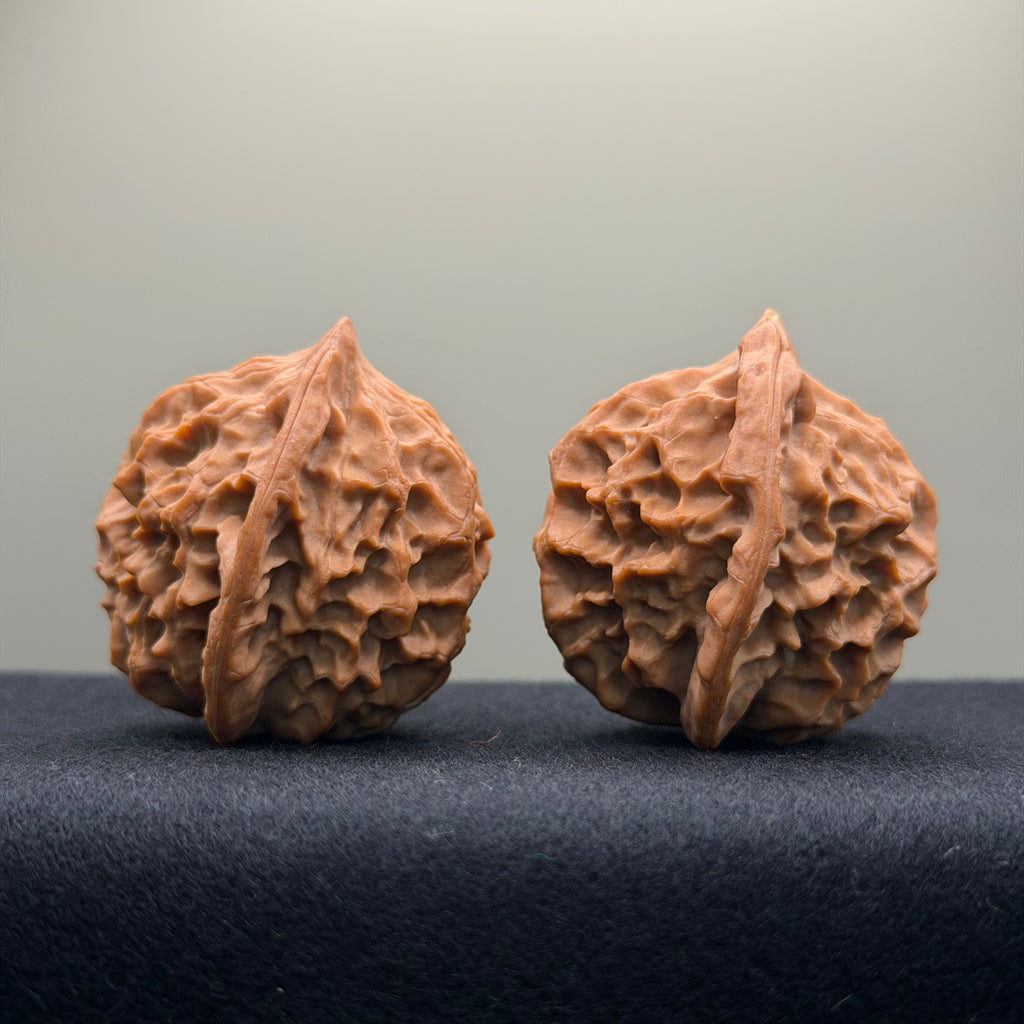 Dragon Scale Wenwan Walnut · 39mm · Natural · Collector Ritual