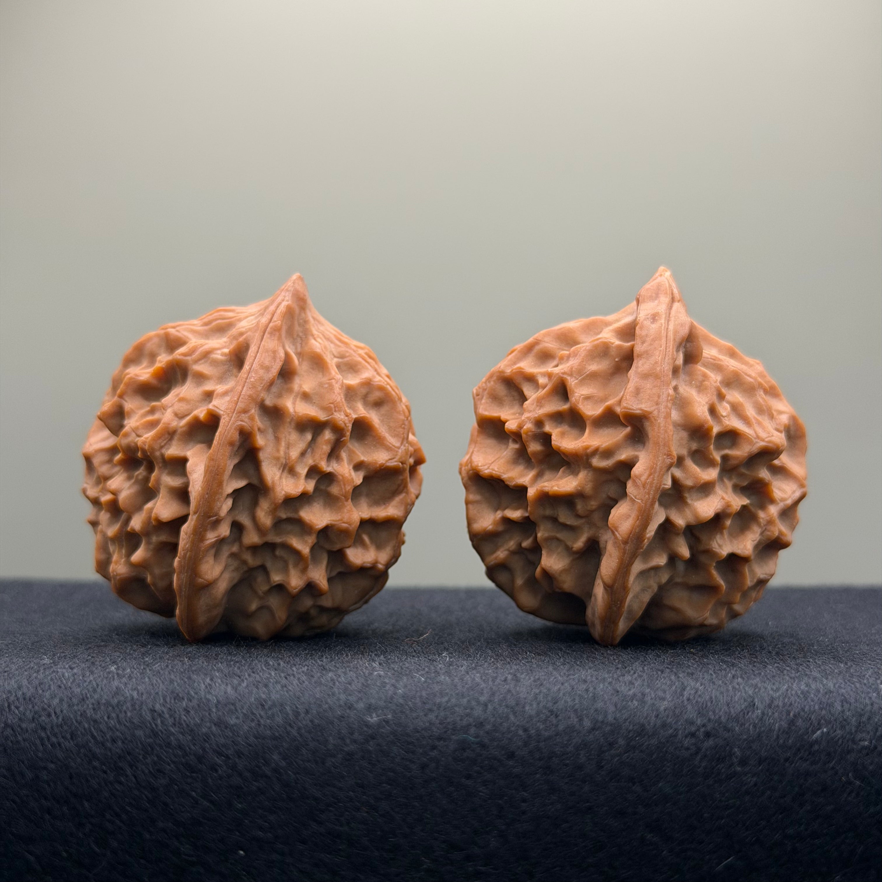 Dragon Scale Wenwan Walnut · 39mm · Natural · Collector Ritual