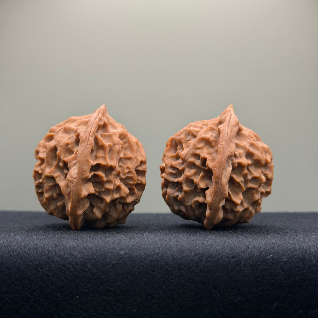 Dragon Scale Wenwan Walnut · 39mm · Natural · Collector Ritual