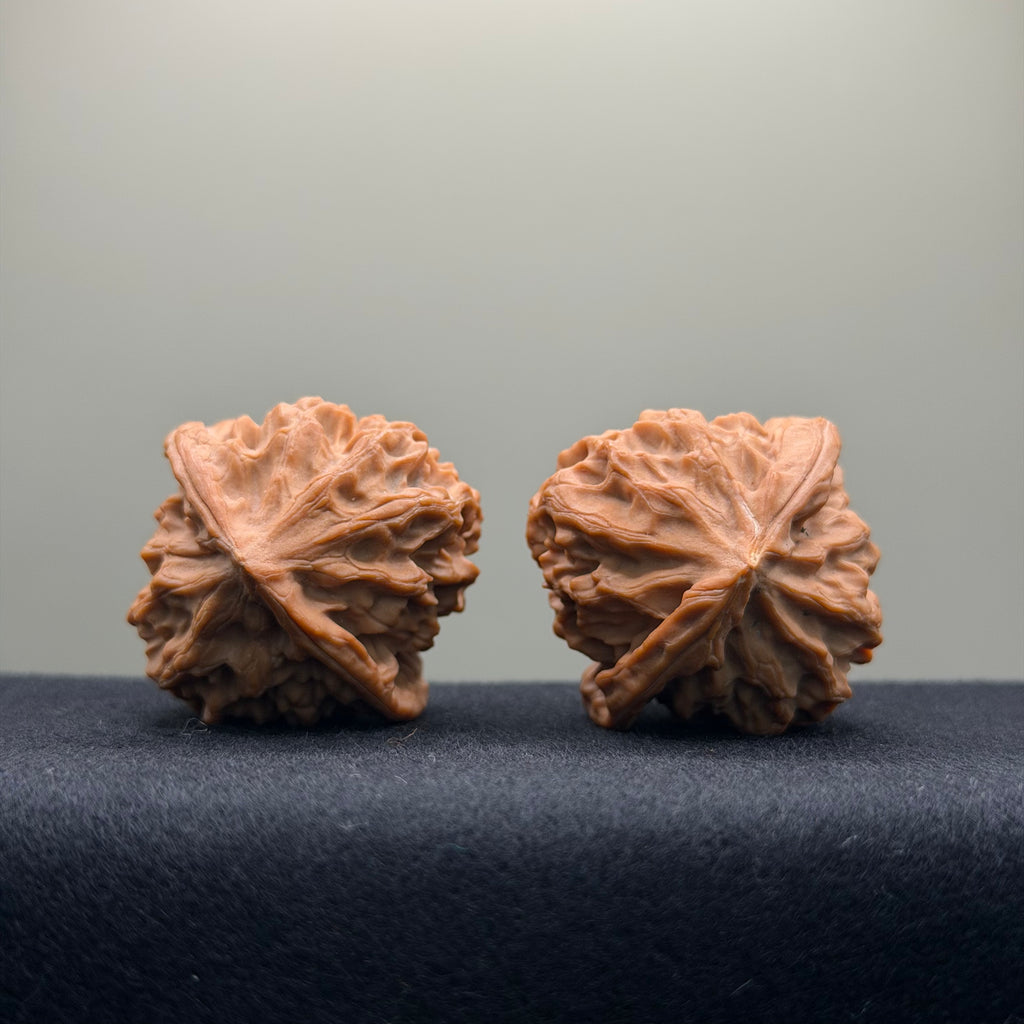 Dragon Scale Wenwan Walnut · 39mm · Natural · Collector Ritual