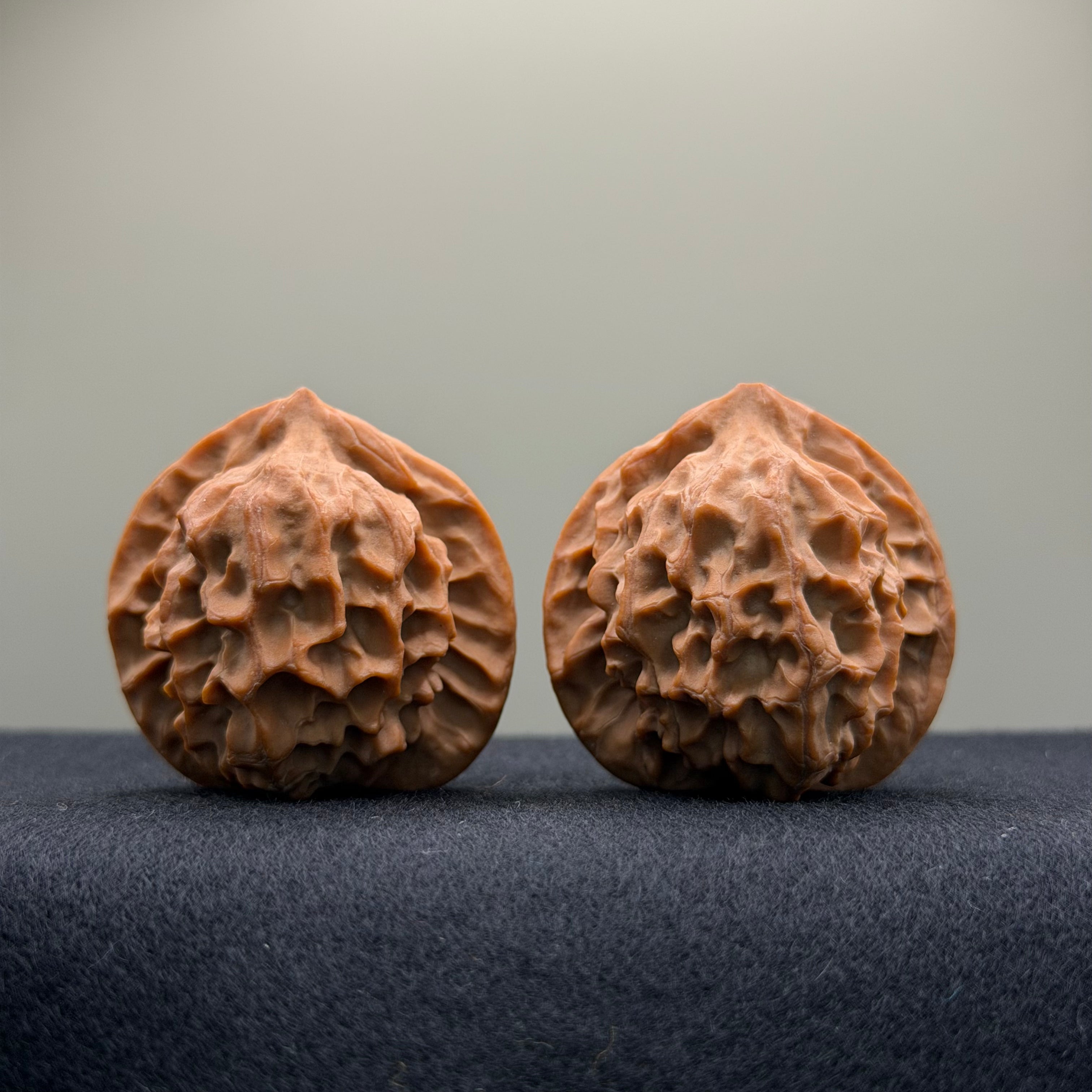 Dragon Scale Wenwan Walnut · 38mm · Natural · Collector Ritual