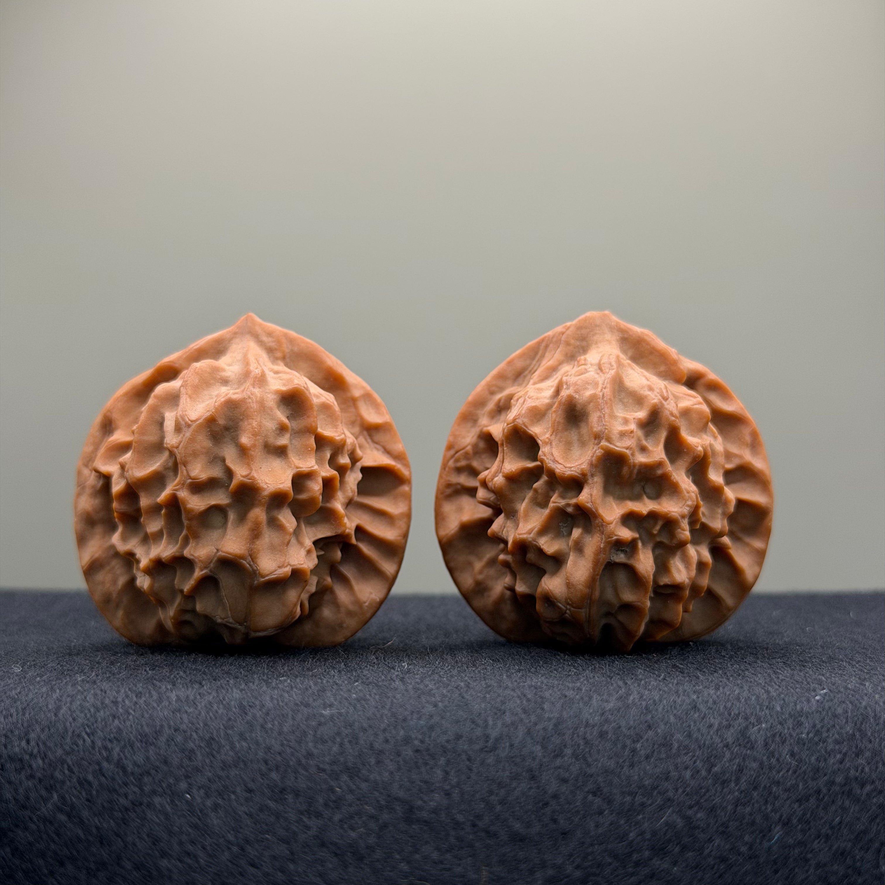 Dragon Scale Wenwan Walnut · 38mm · Natural · Collector Ritual