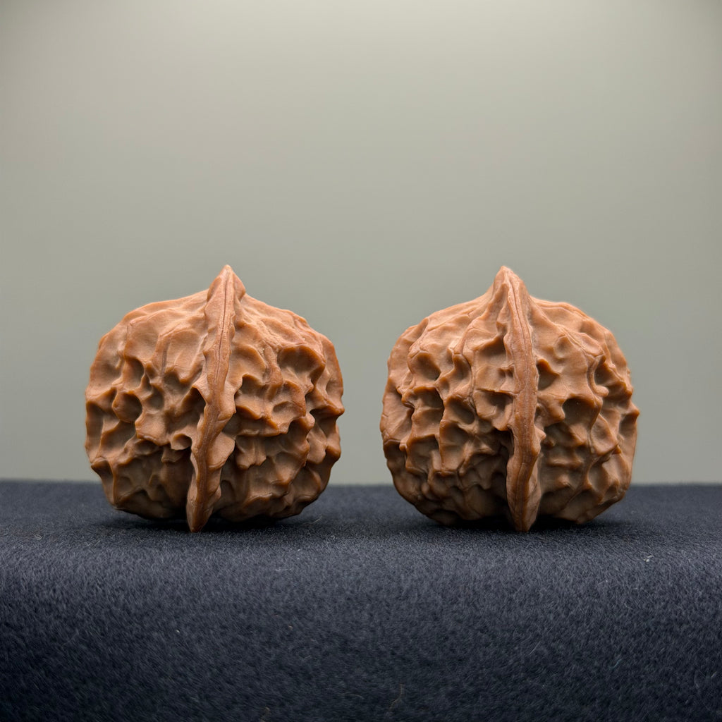 Dragon Scale Wenwan Walnut · 38mm · Natural · Collector Ritual