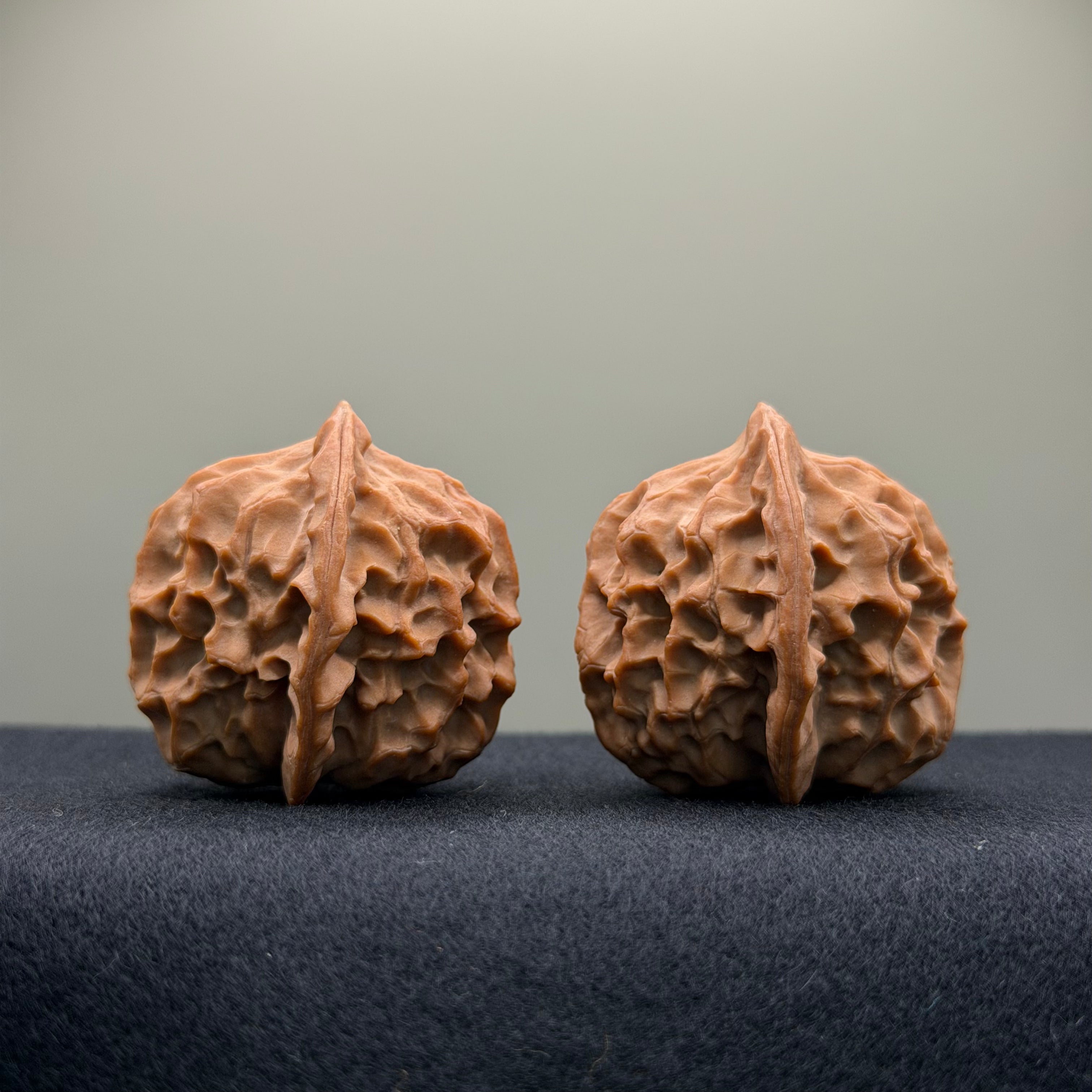 Dragon Scale Wenwan Walnut · 38mm · Natural · Collector Ritual