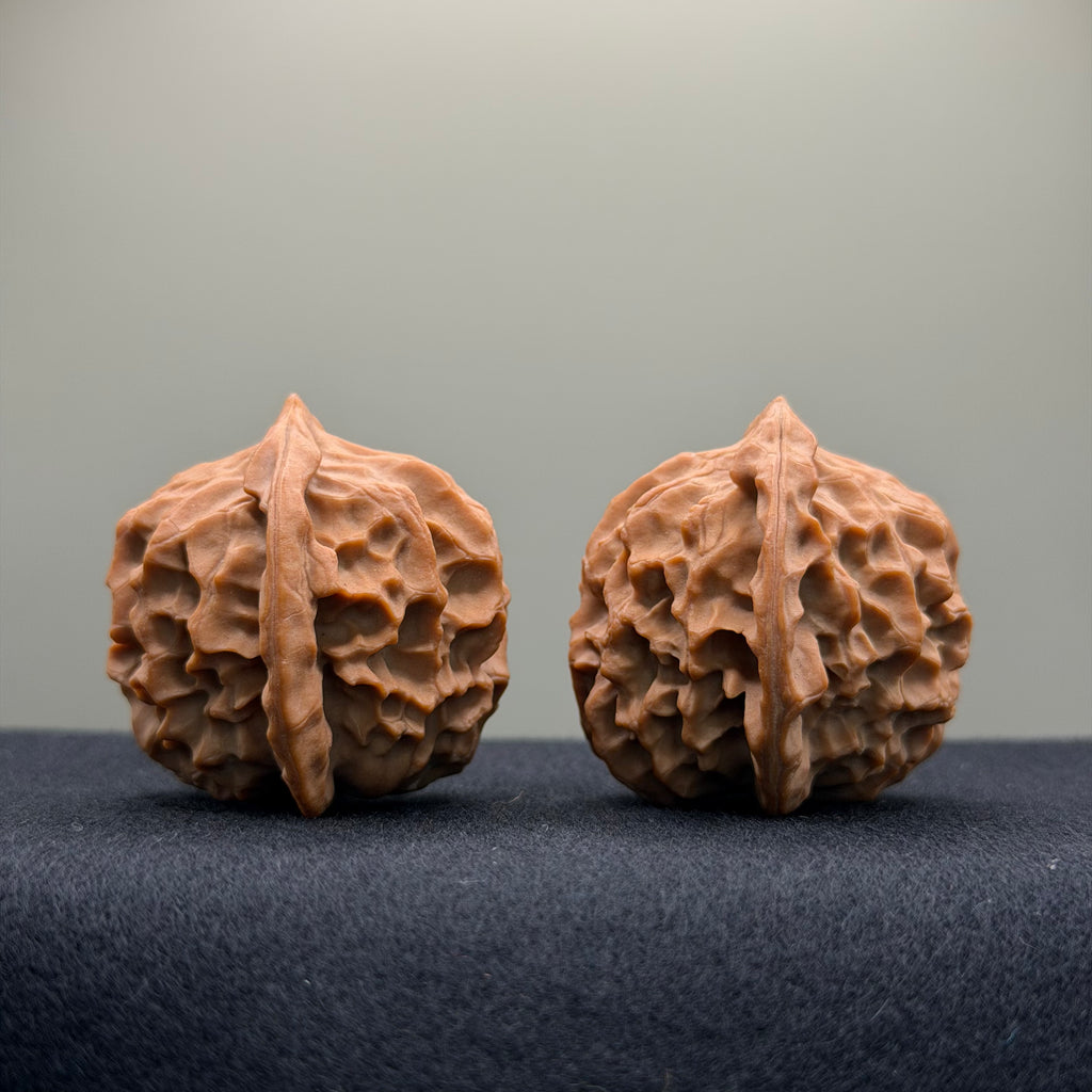 Dragon Scale Wenwan Walnut · 38mm · Natural · Collector Ritual