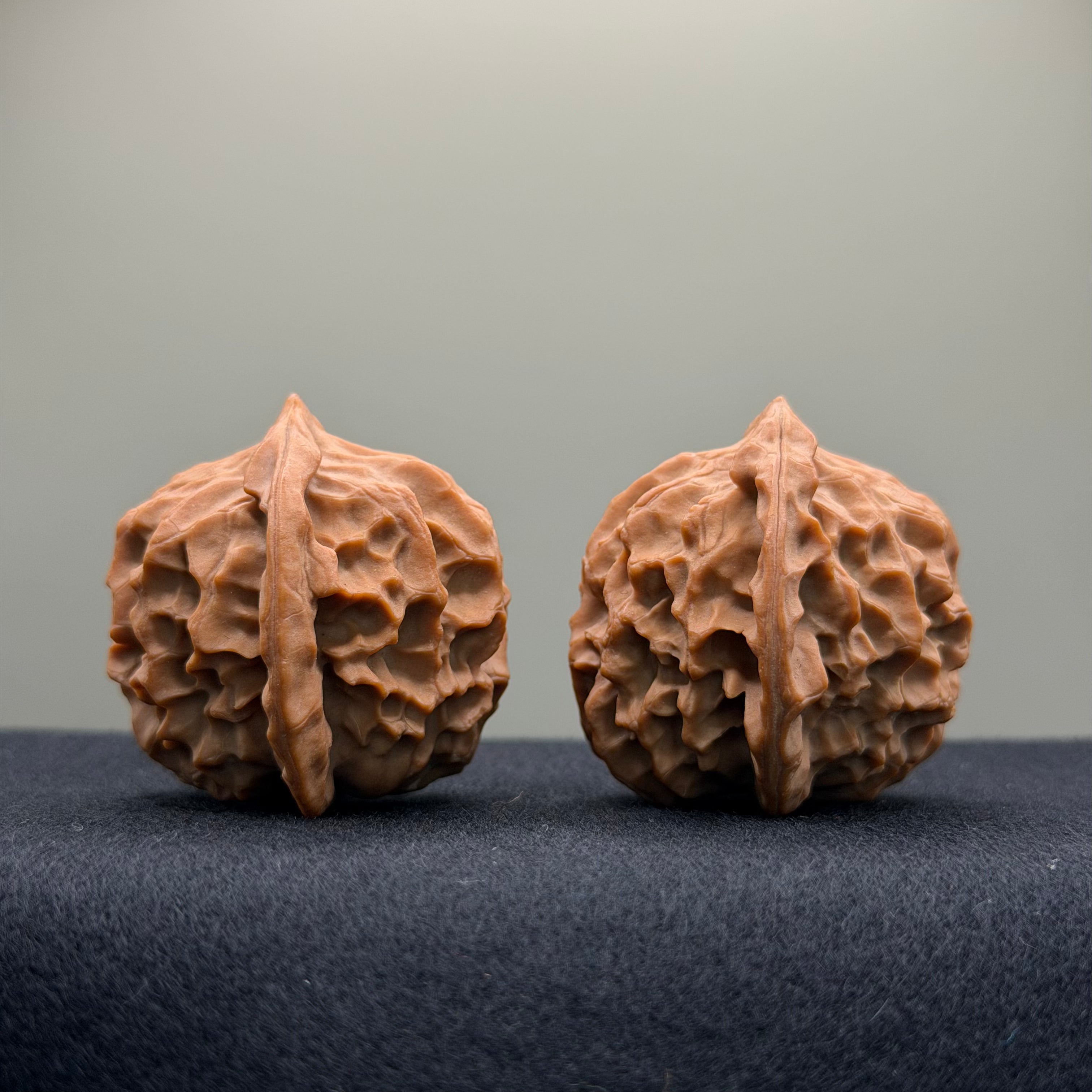 Dragon Scale Wenwan Walnut · 38mm · Natural · Collector Ritual