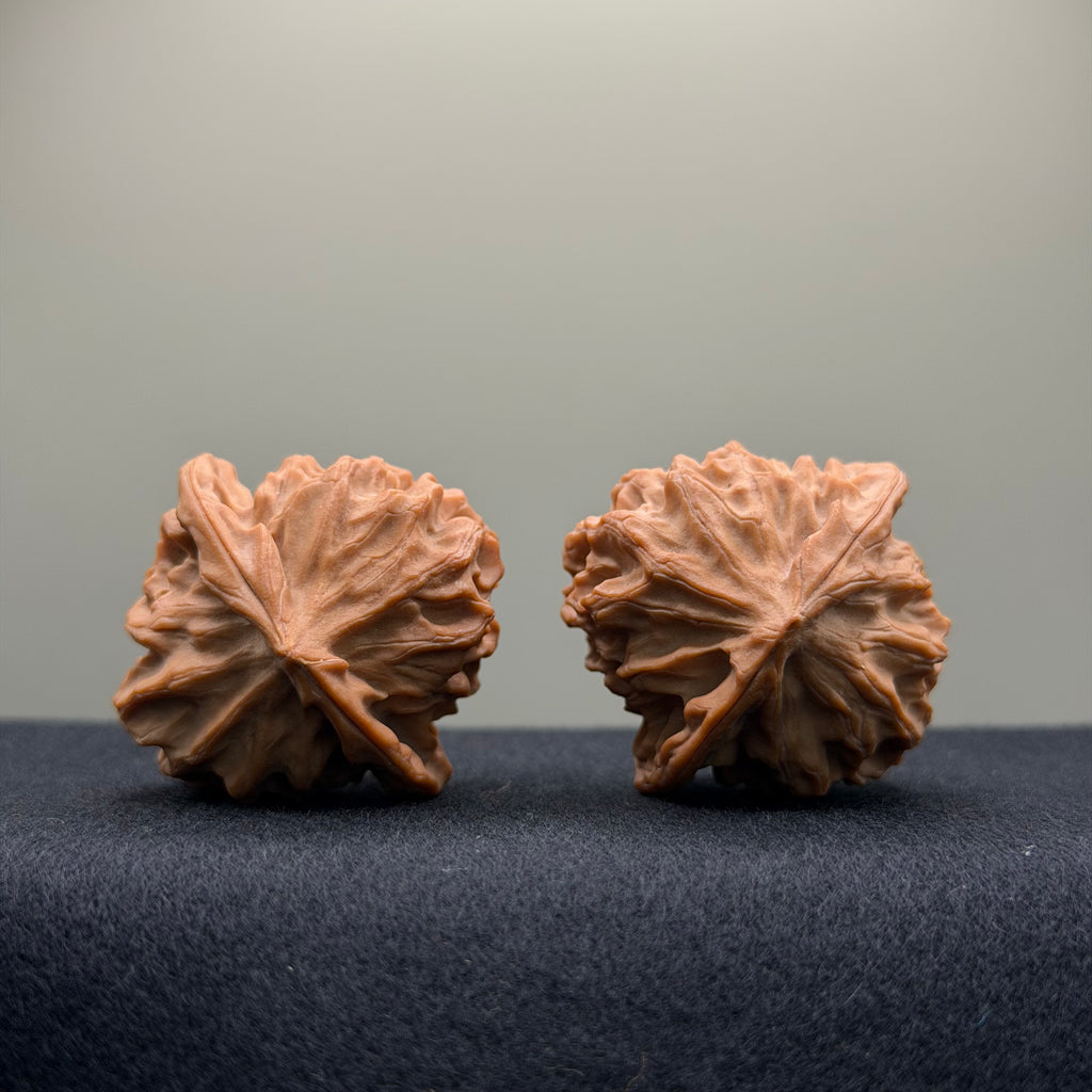 Dragon Scale Wenwan Walnut · 38mm · Natural · Collector Ritual