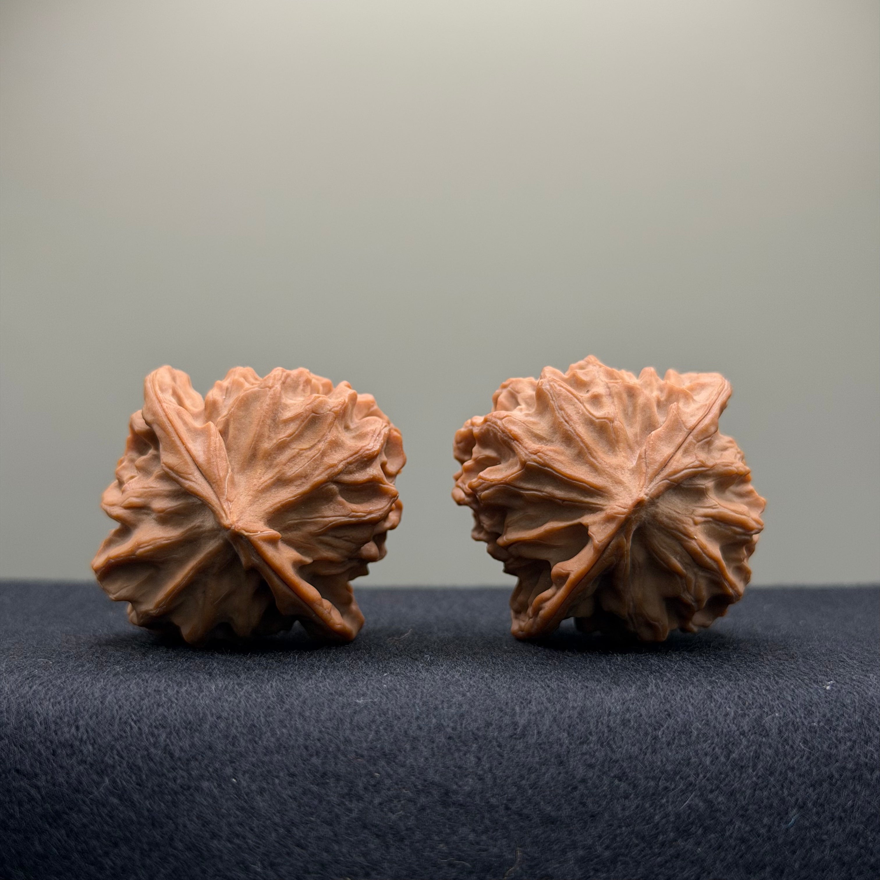 Dragon Scale Wenwan Walnut · 38mm · Natural · Collector Ritual
