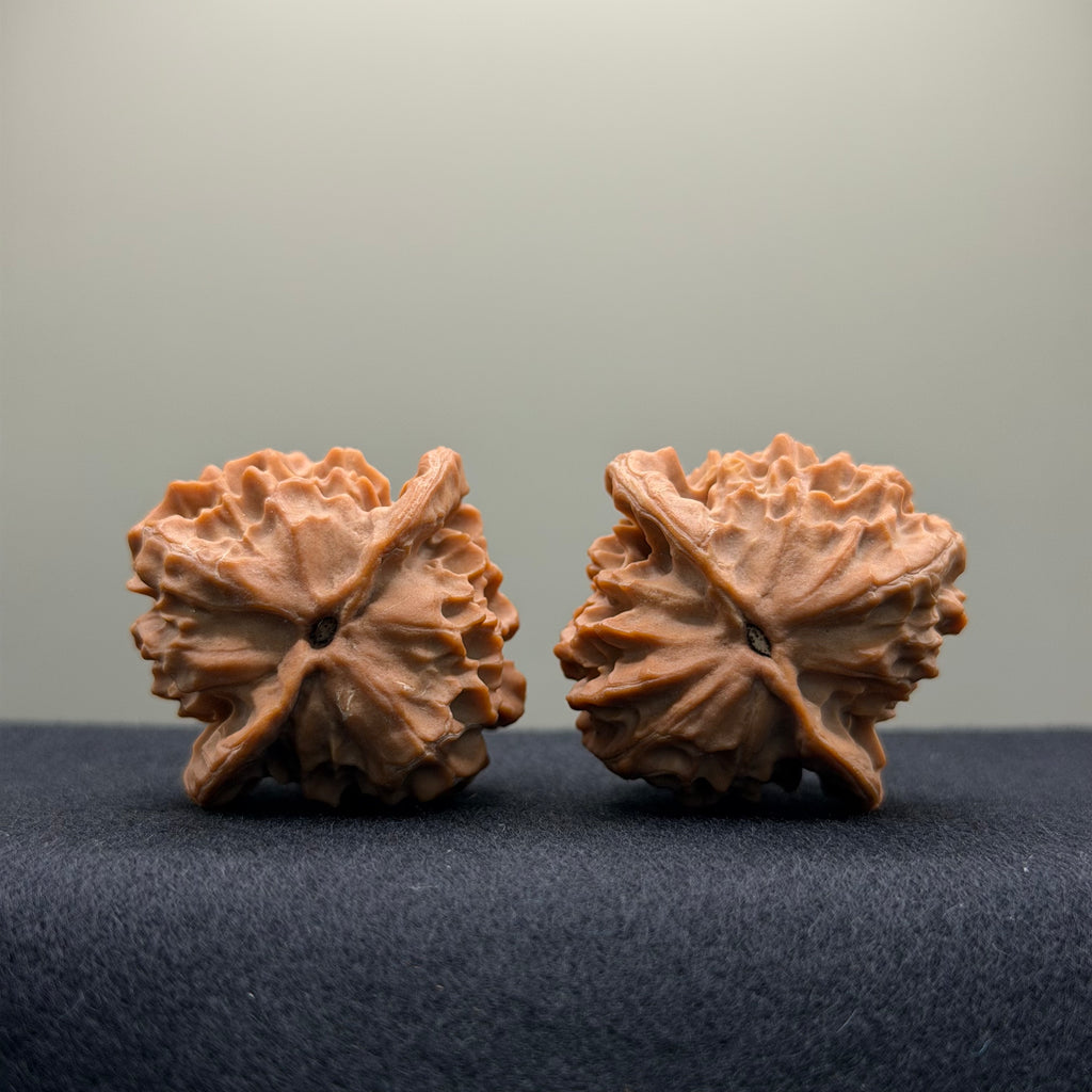 Dragon Scale Wenwan Walnut · 38mm · Natural · Collector Ritual