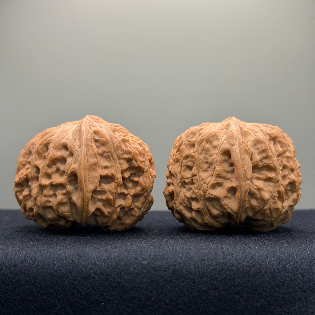 Overlord Cauldron Wenwan Walnut  · 40mm · Natural · Premium Ritual