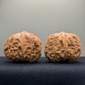 Overlord Cauldron Wenwan Walnut  · 40mm · Natural · Premium Ritual