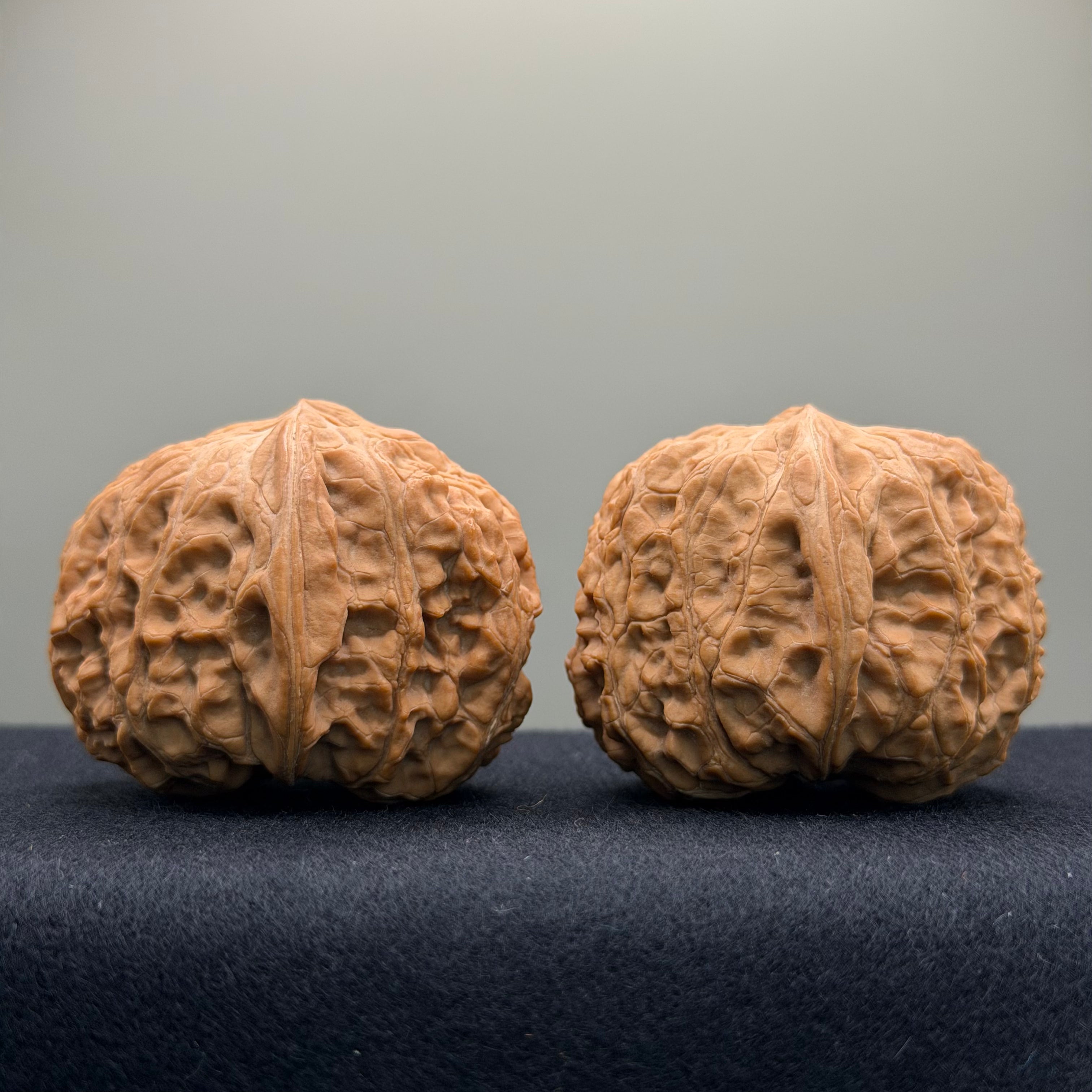 Overlord Cauldron Wenwan Walnut  · 40mm · Natural · Premium Ritual