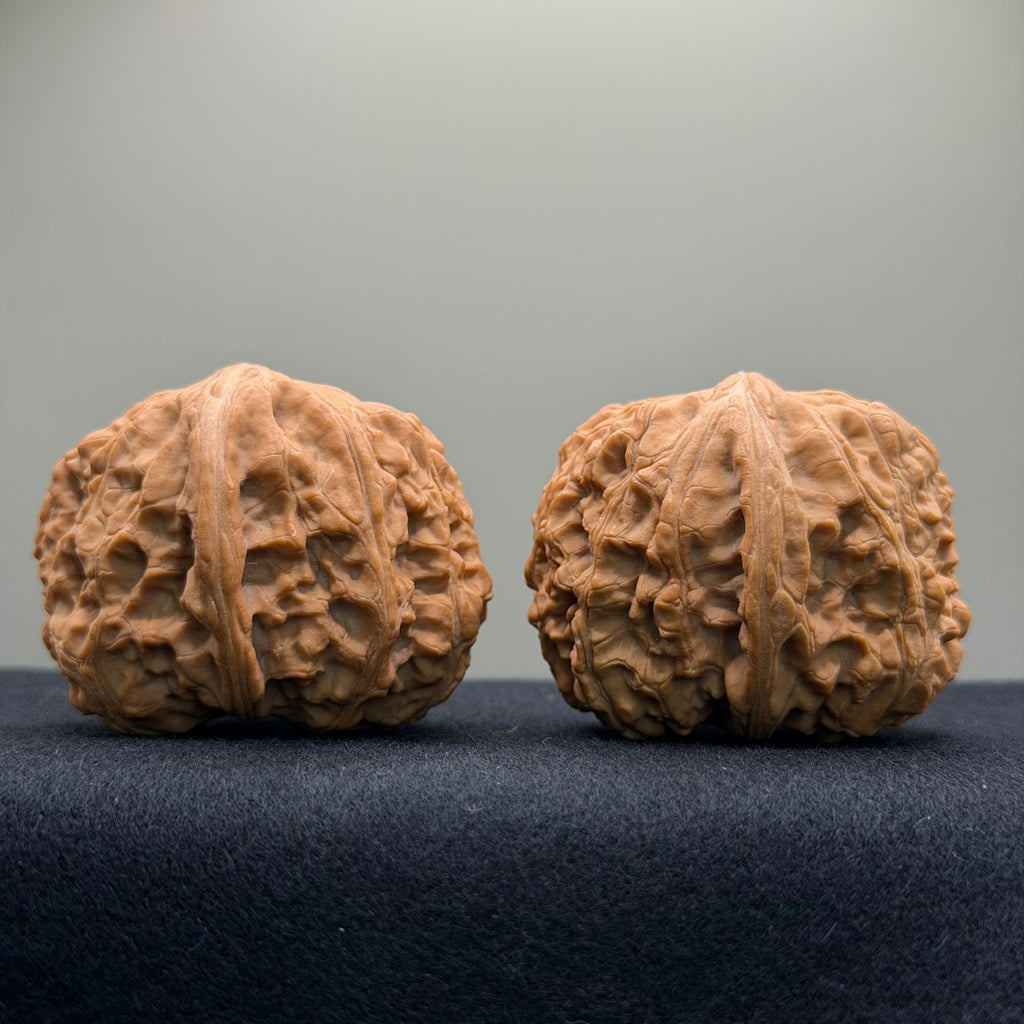 Overlord Cauldron Wenwan Walnut  · 40mm · Natural · Premium Ritual
