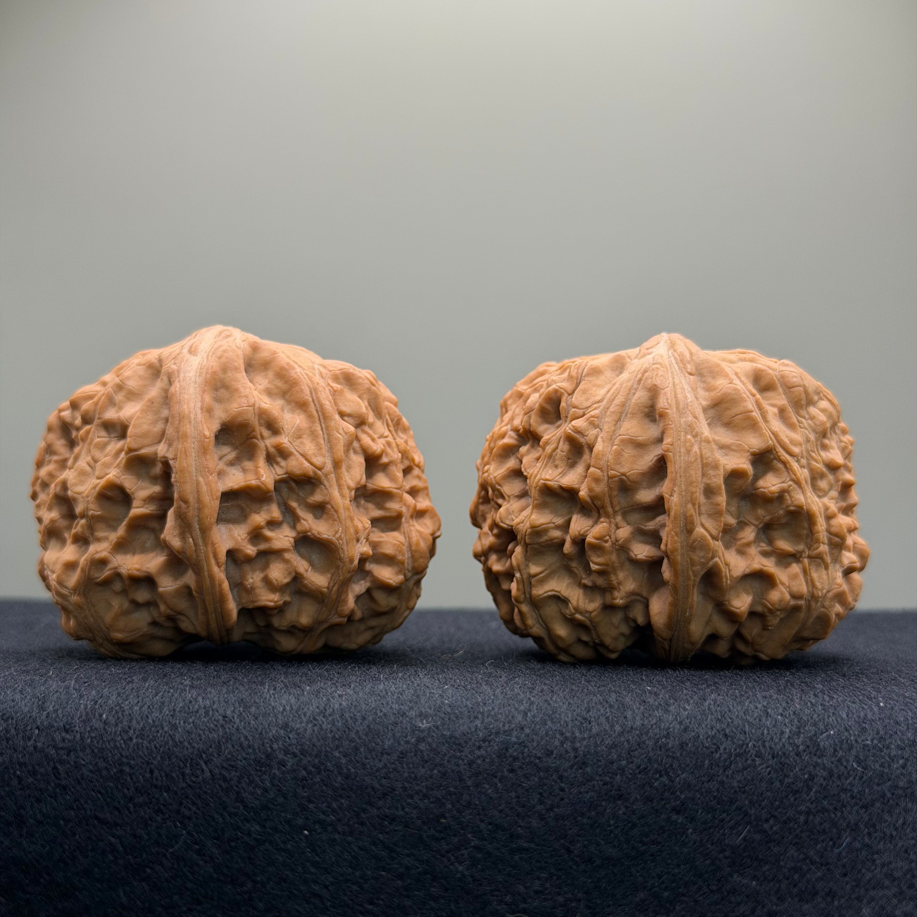 Overlord Cauldron Wenwan Walnut  · 40mm · Natural · Premium Ritual