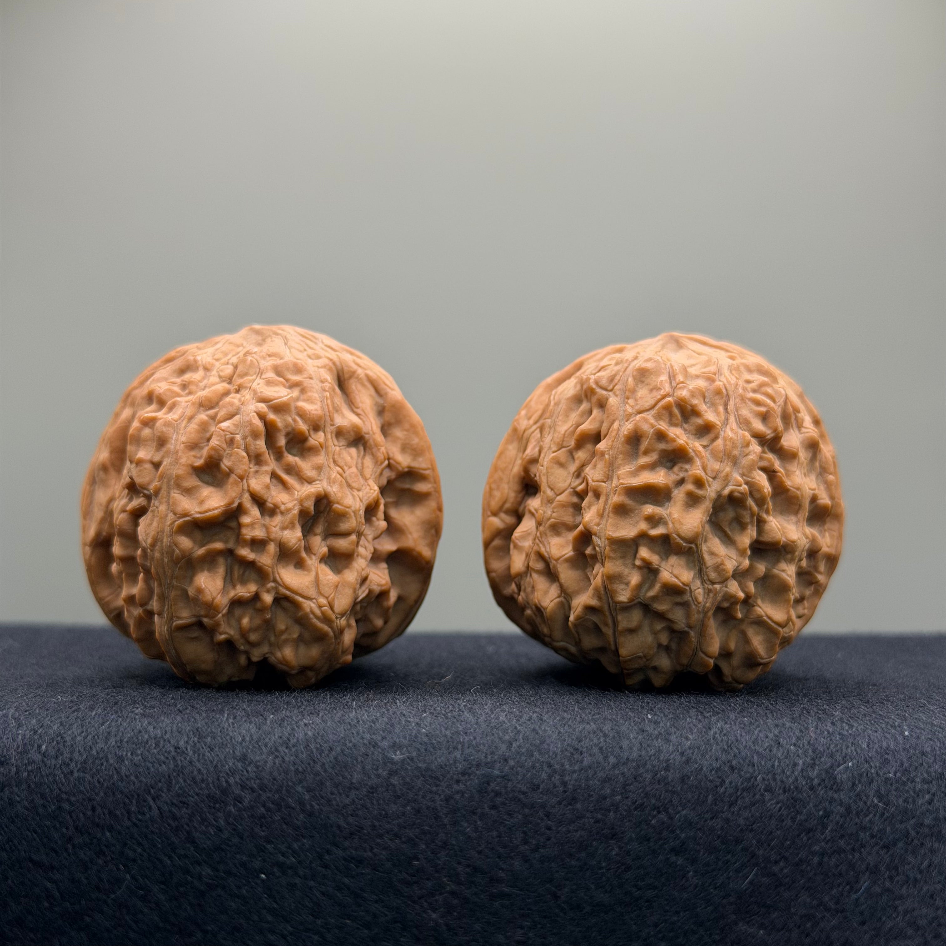Overlord Cauldron Wenwan Walnut  · 40mm · Natural · Premium Ritual