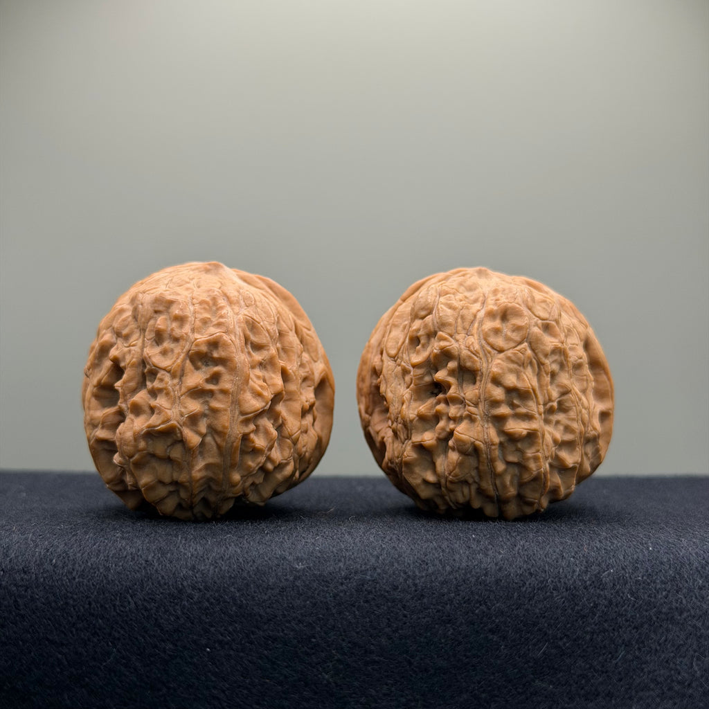Overlord Cauldron Wenwan Walnut  · 40mm · Natural · Premium Ritual