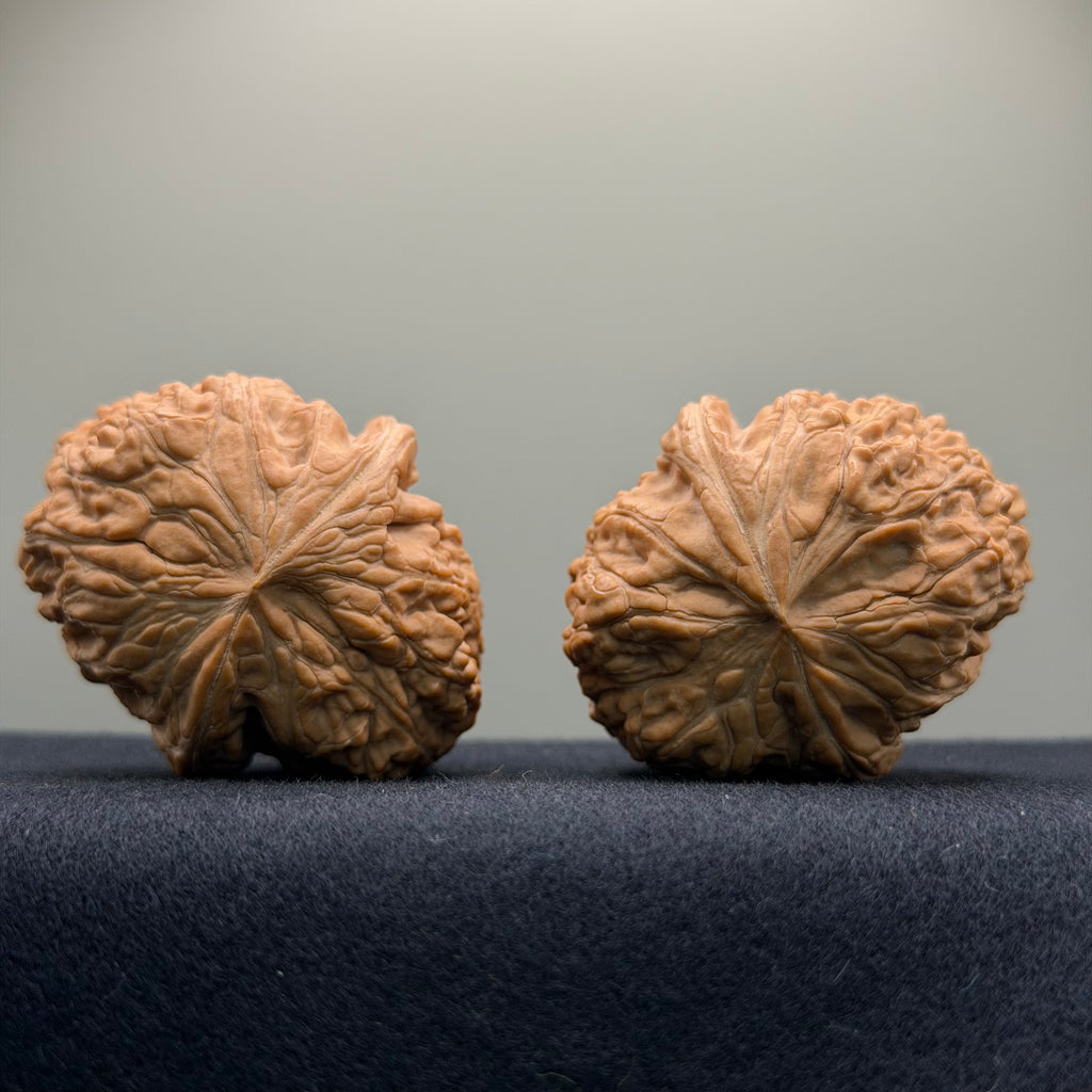 Overlord Cauldron Wenwan Walnut  · 40mm · Natural · Premium Ritual
