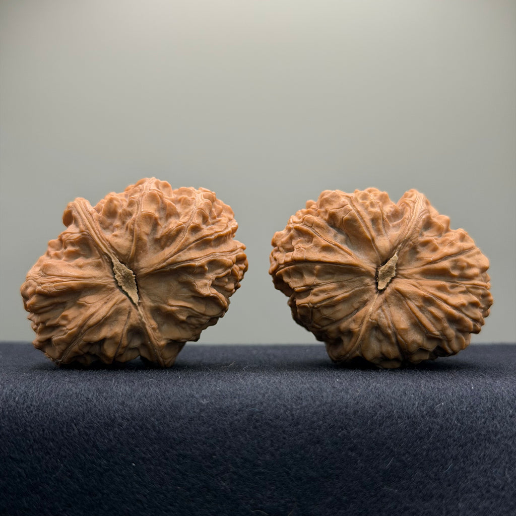 Overlord Cauldron Wenwan Walnut  · 40mm · Natural · Premium Ritual