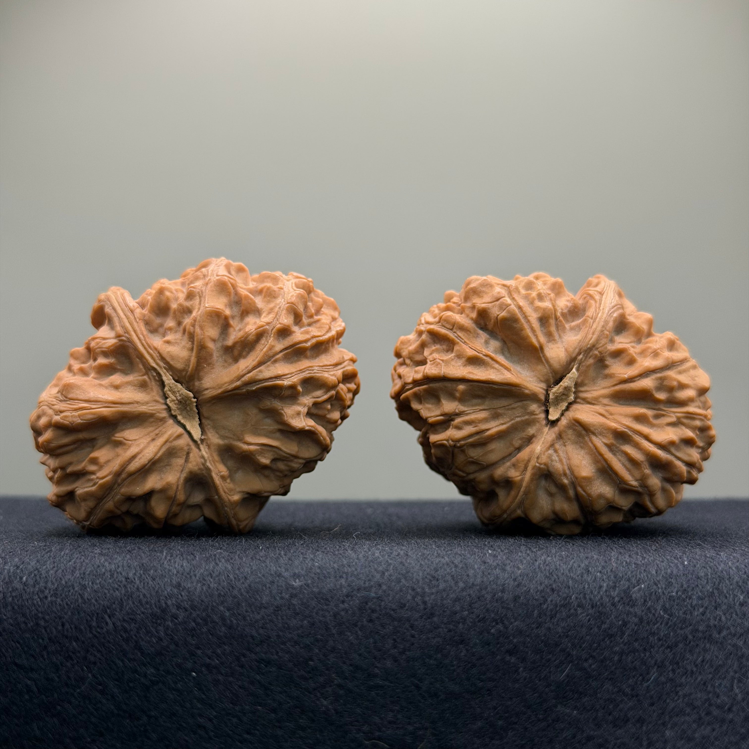 Overlord Cauldron Wenwan Walnut  · 40mm · Natural · Premium Ritual