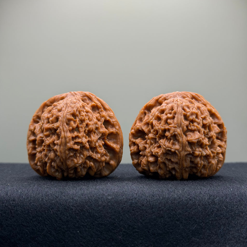Nanjiang Stone Wenwan Walnut · 43mm · Natural · Premium Ritual