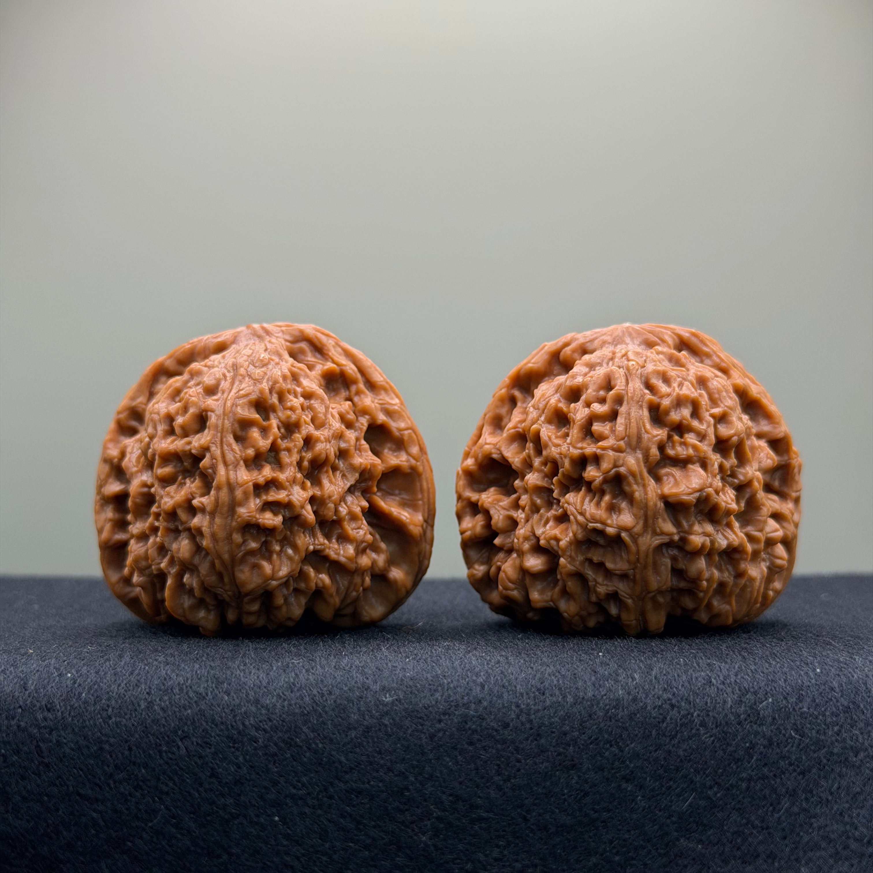 Nanjiang Stone Wenwan Walnut · 43mm · Natural · Premium Ritual