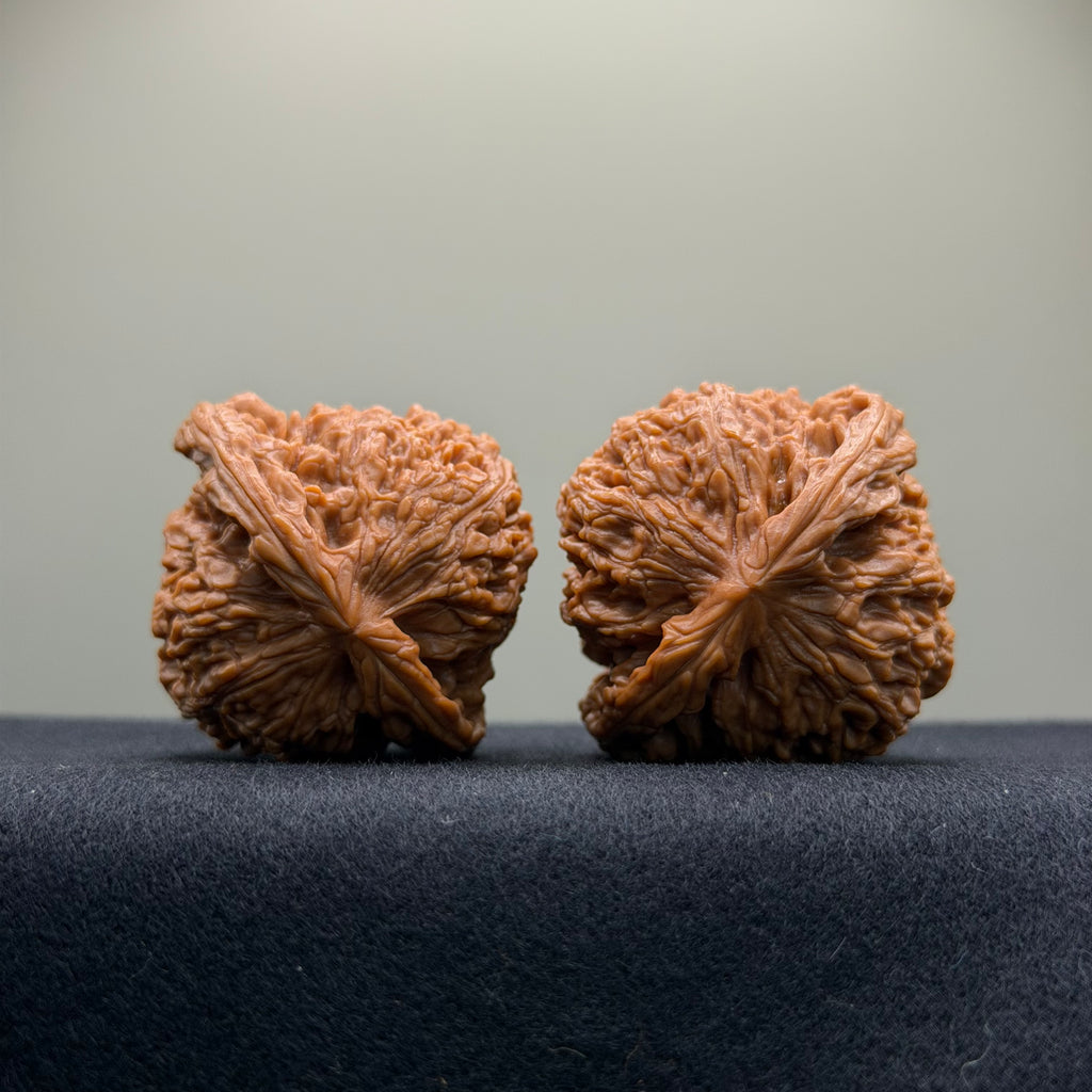 Nanjiang Stone Wenwan Walnut · 43mm · Natural · Premium Ritual