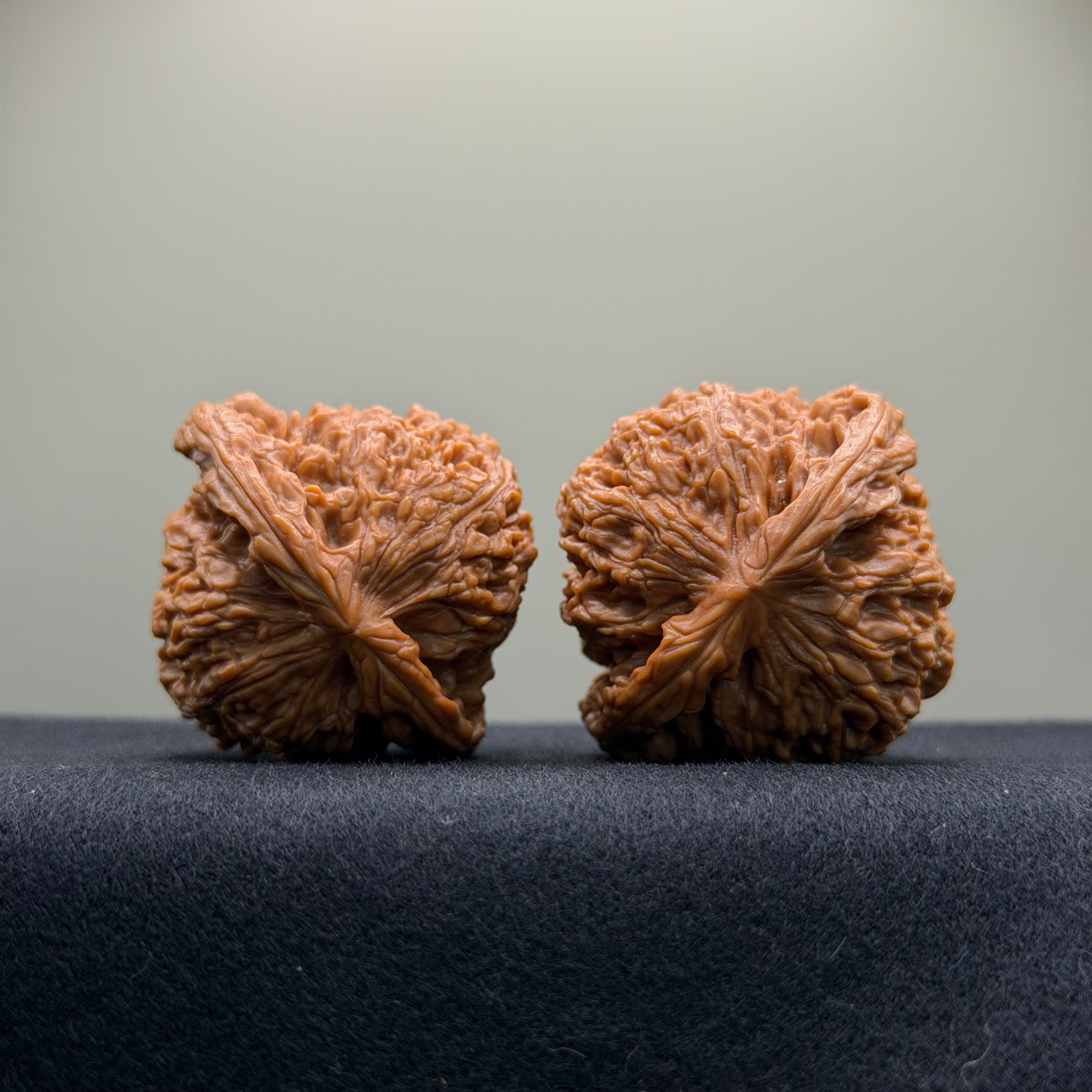 Nanjiang Stone Wenwan Walnut · 43mm · Natural · Premium Ritual