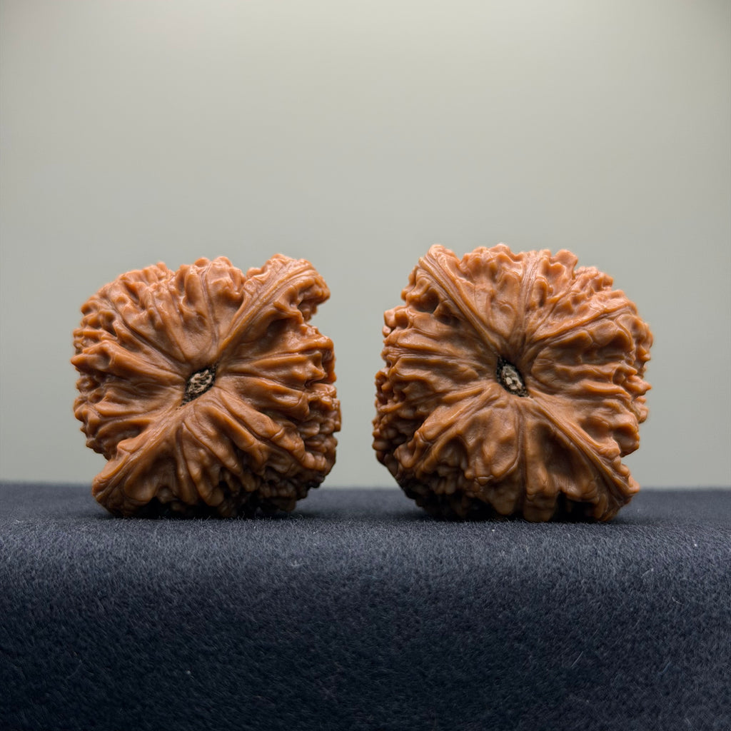 Nanjiang Stone Wenwan Walnut · 43mm · Natural · Premium Ritual