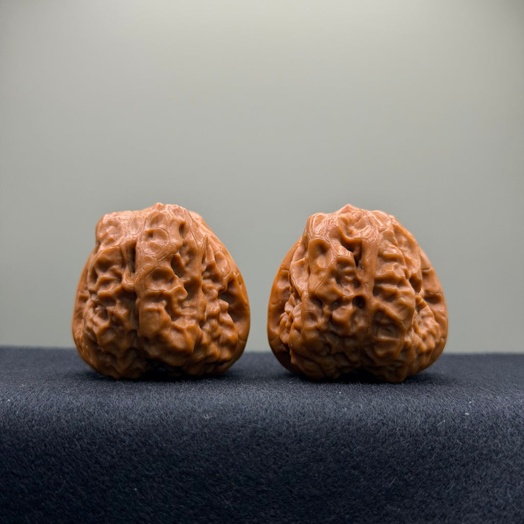 Toad Head Wenwan Walnut · 37mm · Collector Ritual