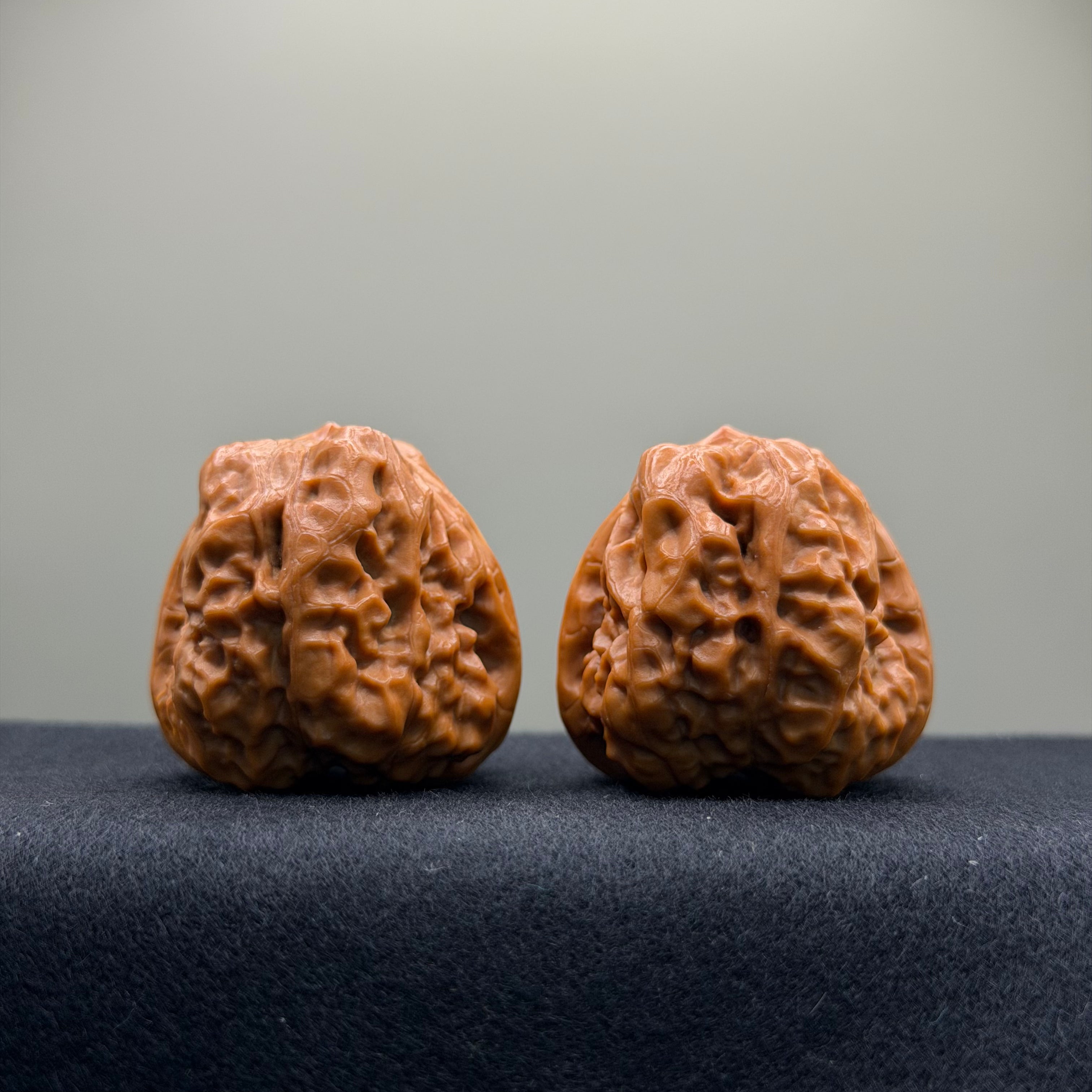 Toad Head Wenwan Walnut · 37mm · Collector Ritual