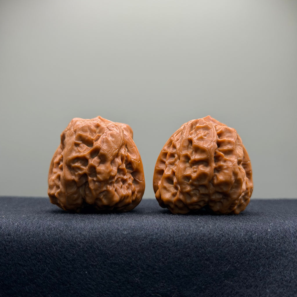Toad Head Wenwan Walnut · 37mm · Collector Ritual