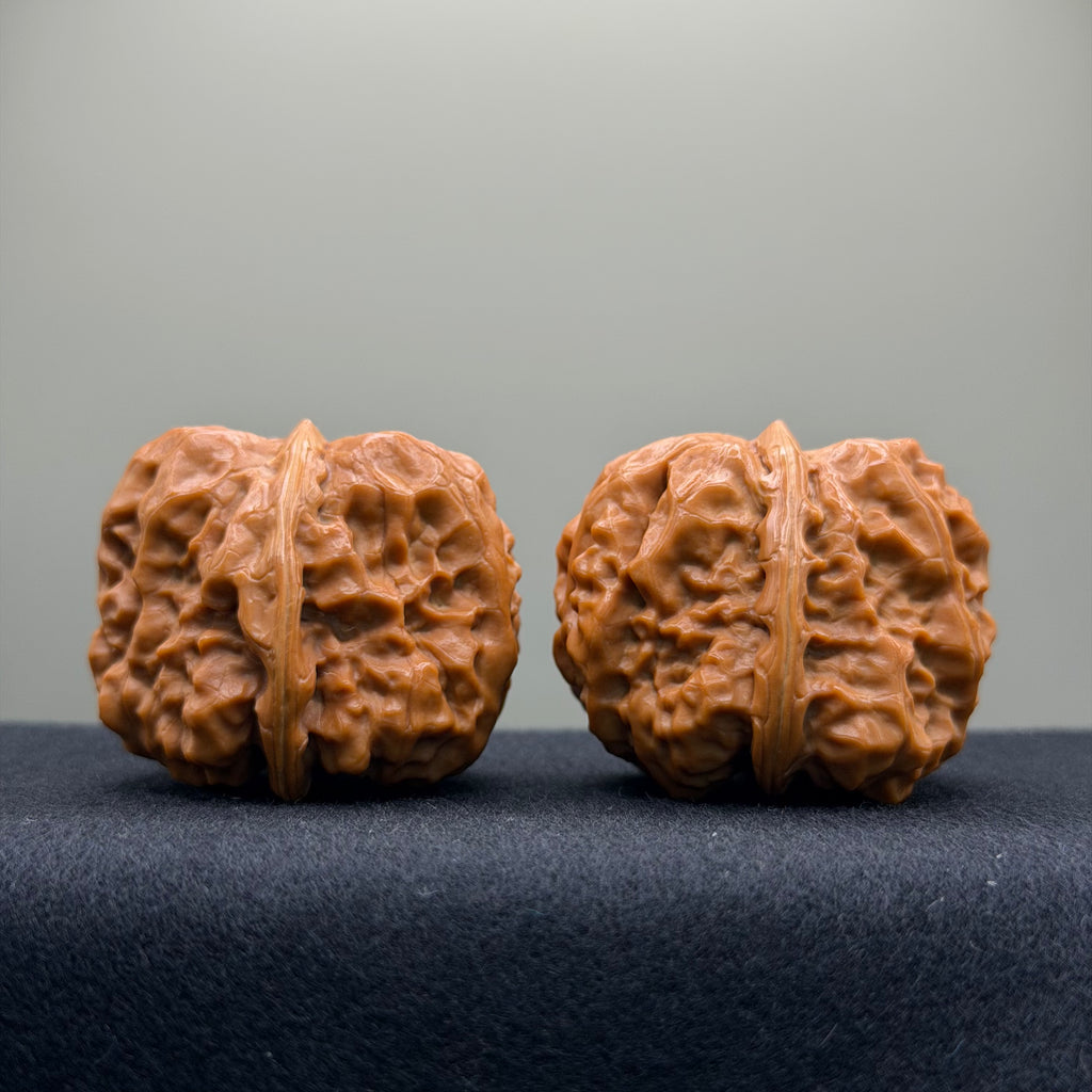 Toad Head Wenwan Walnut · 37mm · Collector Ritual