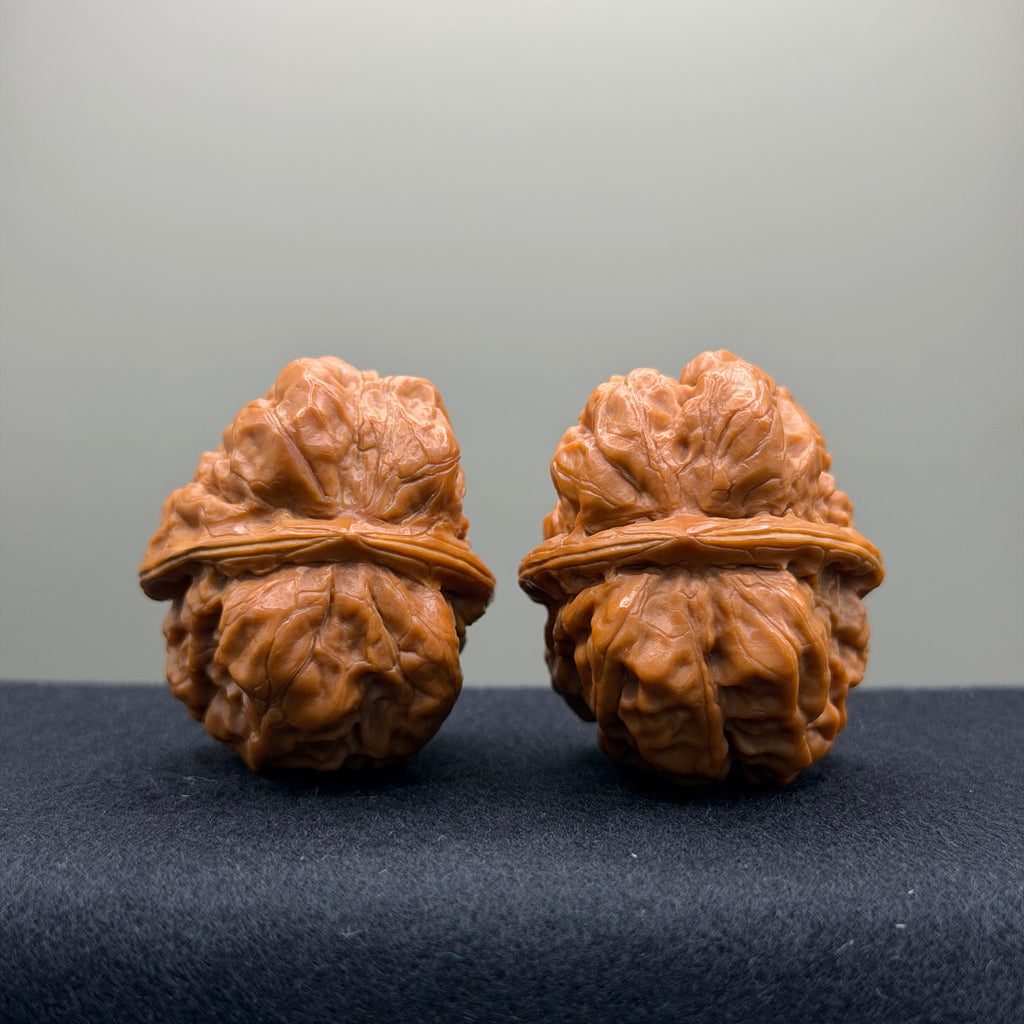 Toad Head Wenwan Walnut · 37mm · Collector Ritual