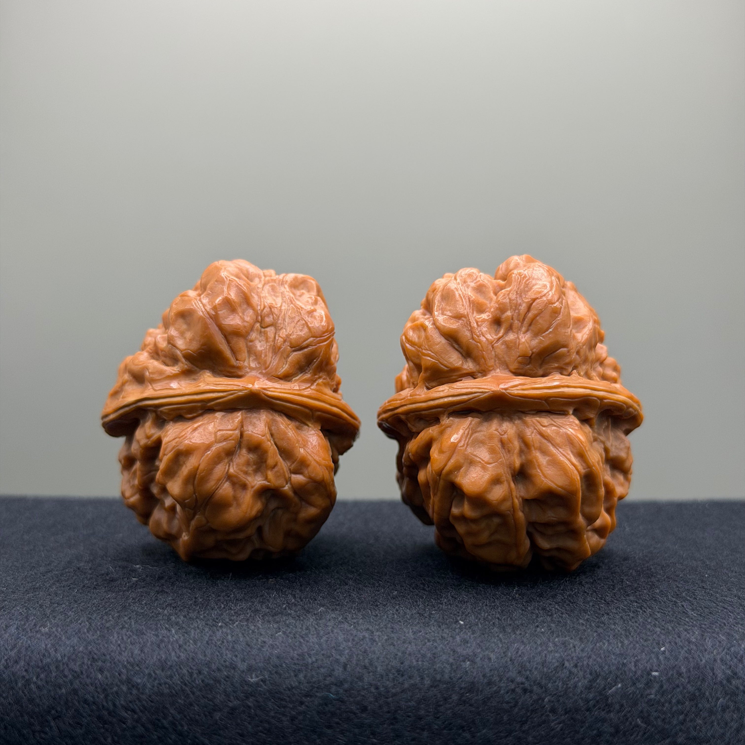 Toad Head Wenwan Walnut · 37mm · Collector Ritual