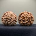 Dragon Cauldron Wenwan Walnut · 51mm · Natural · Premium Ritual