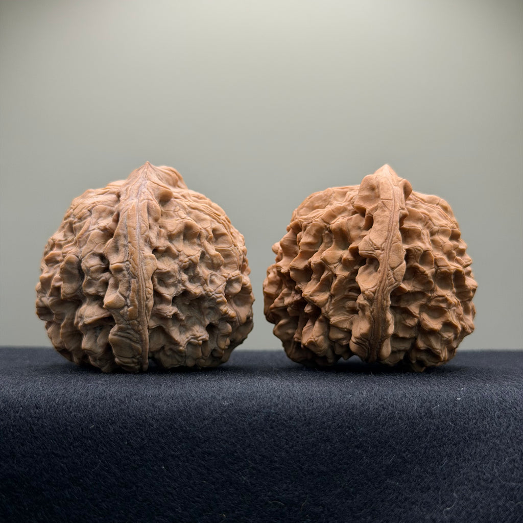 Dragon Cauldron Wenwan Walnut · 51mm · Natural · Premium Ritual