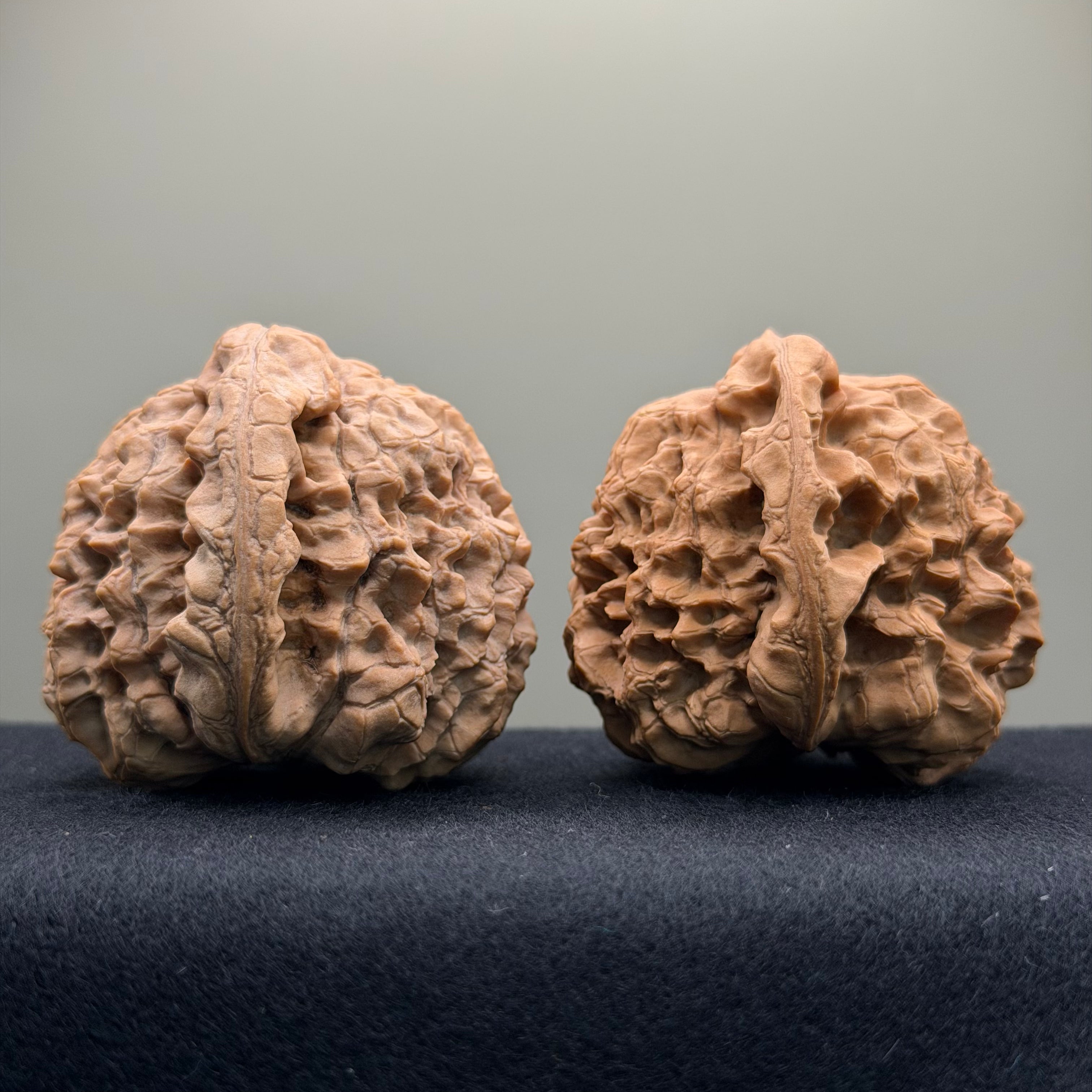 Dragon Cauldron Wenwan Walnut · 51mm · Natural · Premium Ritual