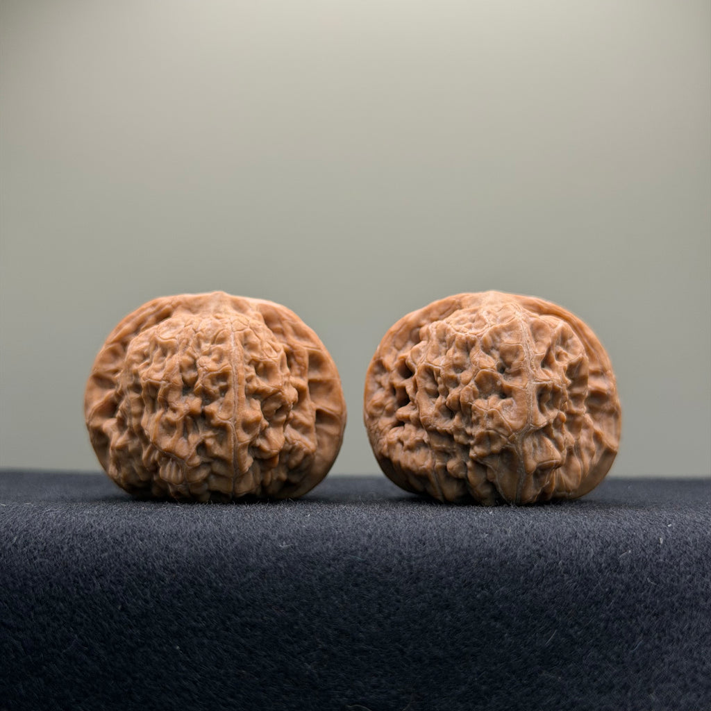 Black Lion Wenwan Walnut · 37mm · Natural · Collector Ritual