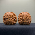 Nanjiang Stone Wenwan Walnut · 41mm · Select Ritual
