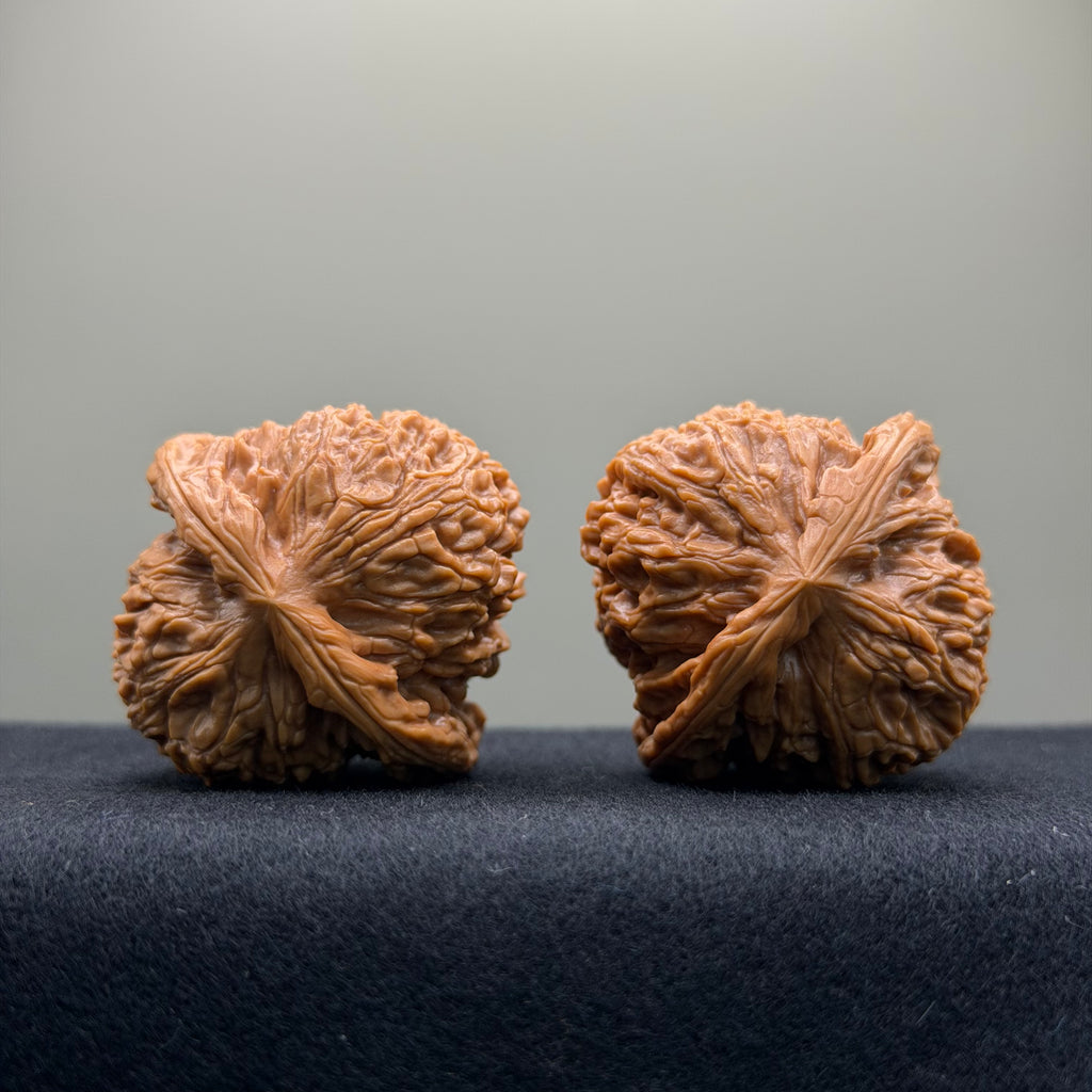 Nanjiang Stone Wenwan Walnut · 41mm · Select Ritual