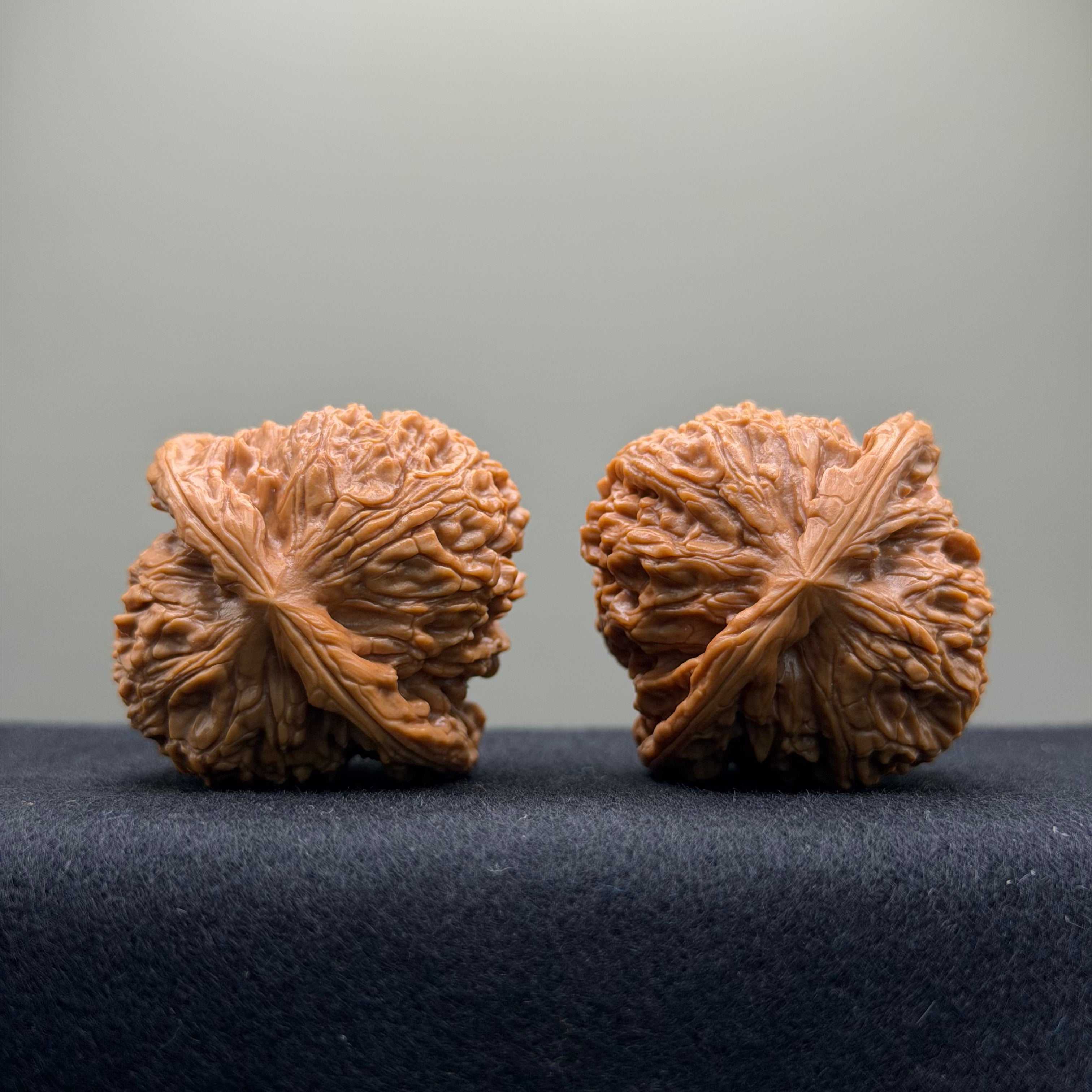 Nanjiang Stone Wenwan Walnut · 41mm · Select Ritual