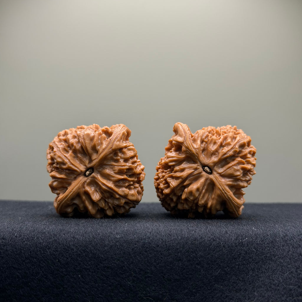 Nanjiang Stone Wenwan Walnut · 41mm · Select Ritual