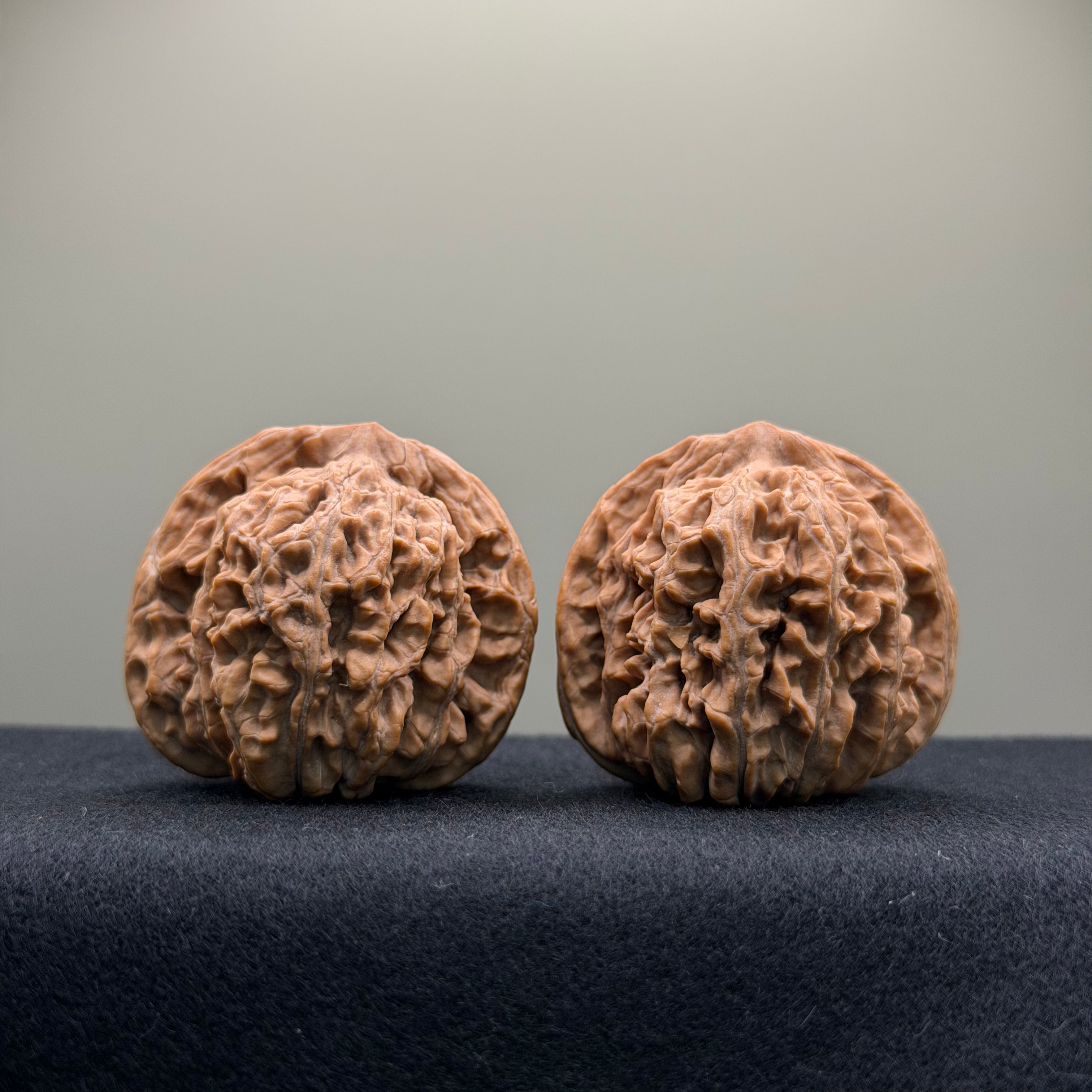 Han Gao Tower Wenwan Walnut · 41 · Natural · Premium Ritual