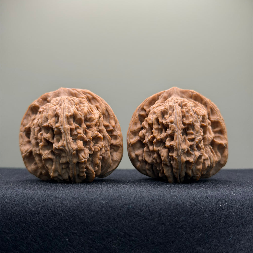 Han Gao Tower Wenwan Walnut · 41 · Natural · Premium Ritual