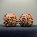 Han Gao Tower Wenwan Walnut · 41 · Natural · Premium Ritual