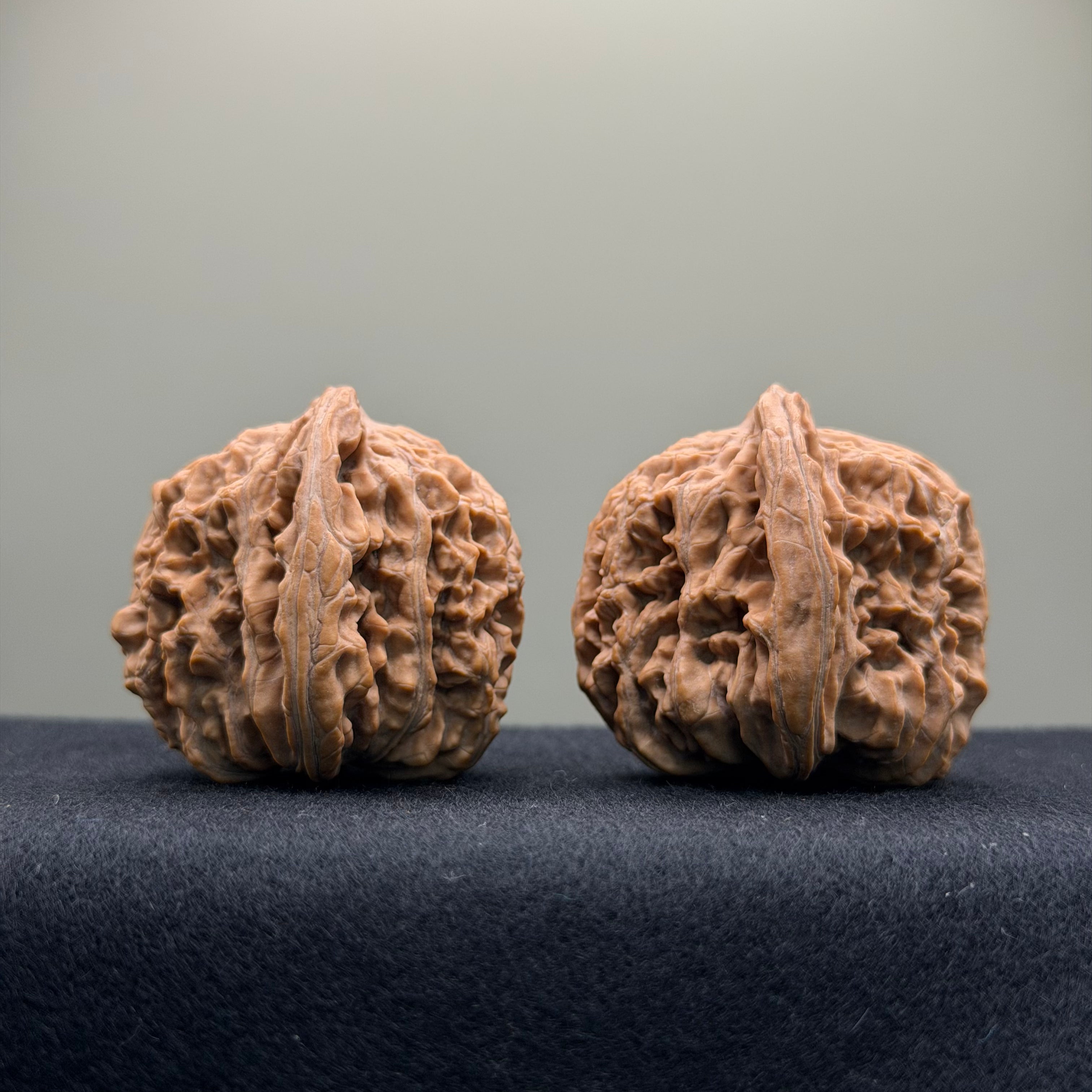 Han Gao Tower Wenwan Walnut · 41 · Natural · Premium Ritual