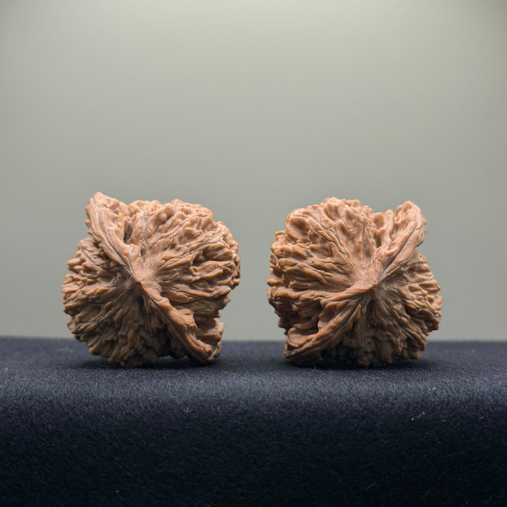 Han Gao Tower Wenwan Walnut · 41 · Natural · Premium Ritual