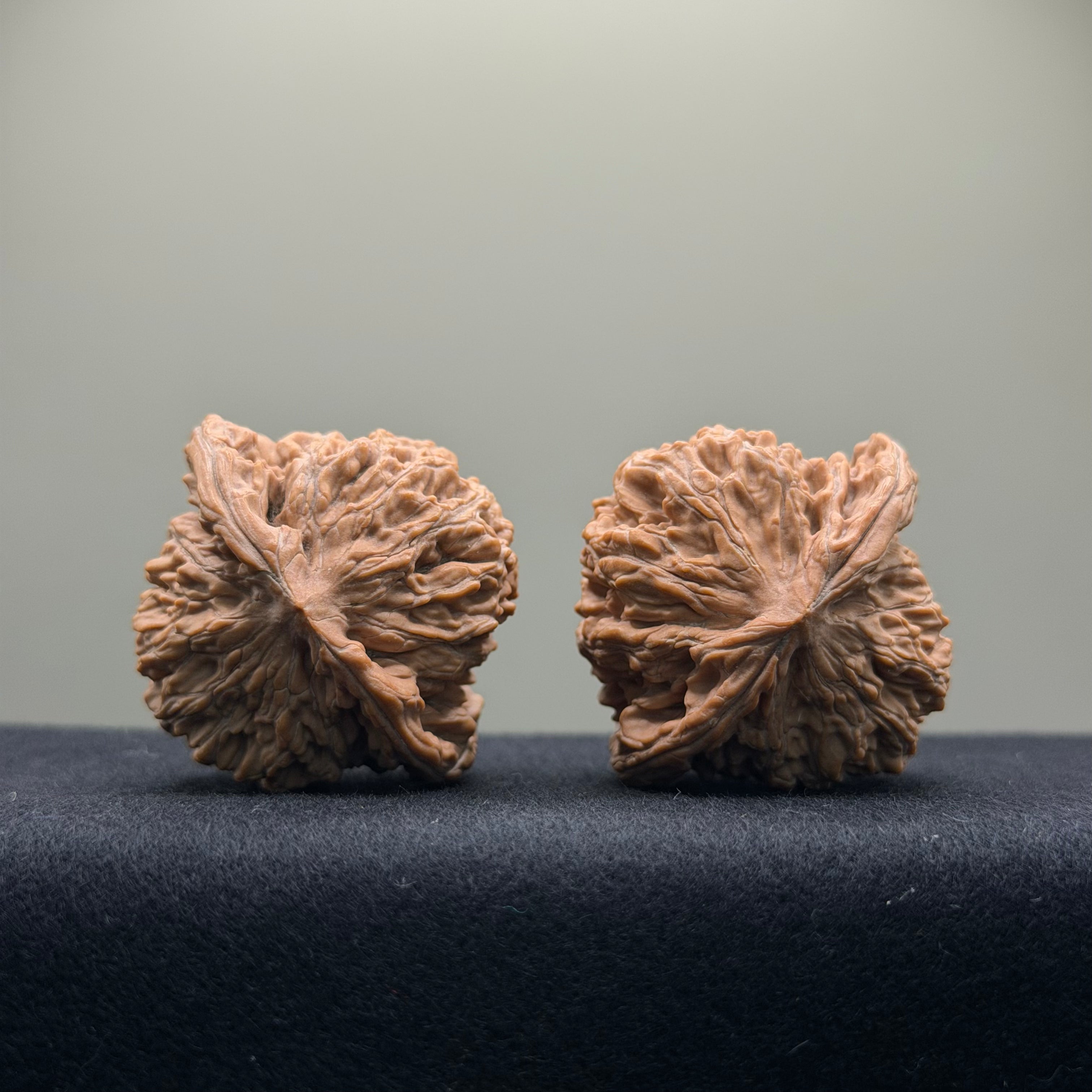 Han Gao Tower Wenwan Walnut · 41 · Natural · Premium Ritual