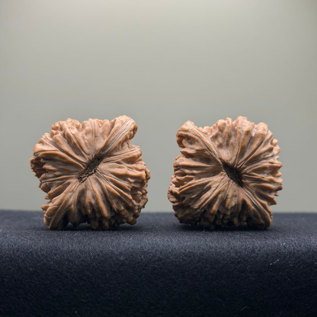 Han Gao Tower Wenwan Walnut · 41 · Natural · Premium Ritual